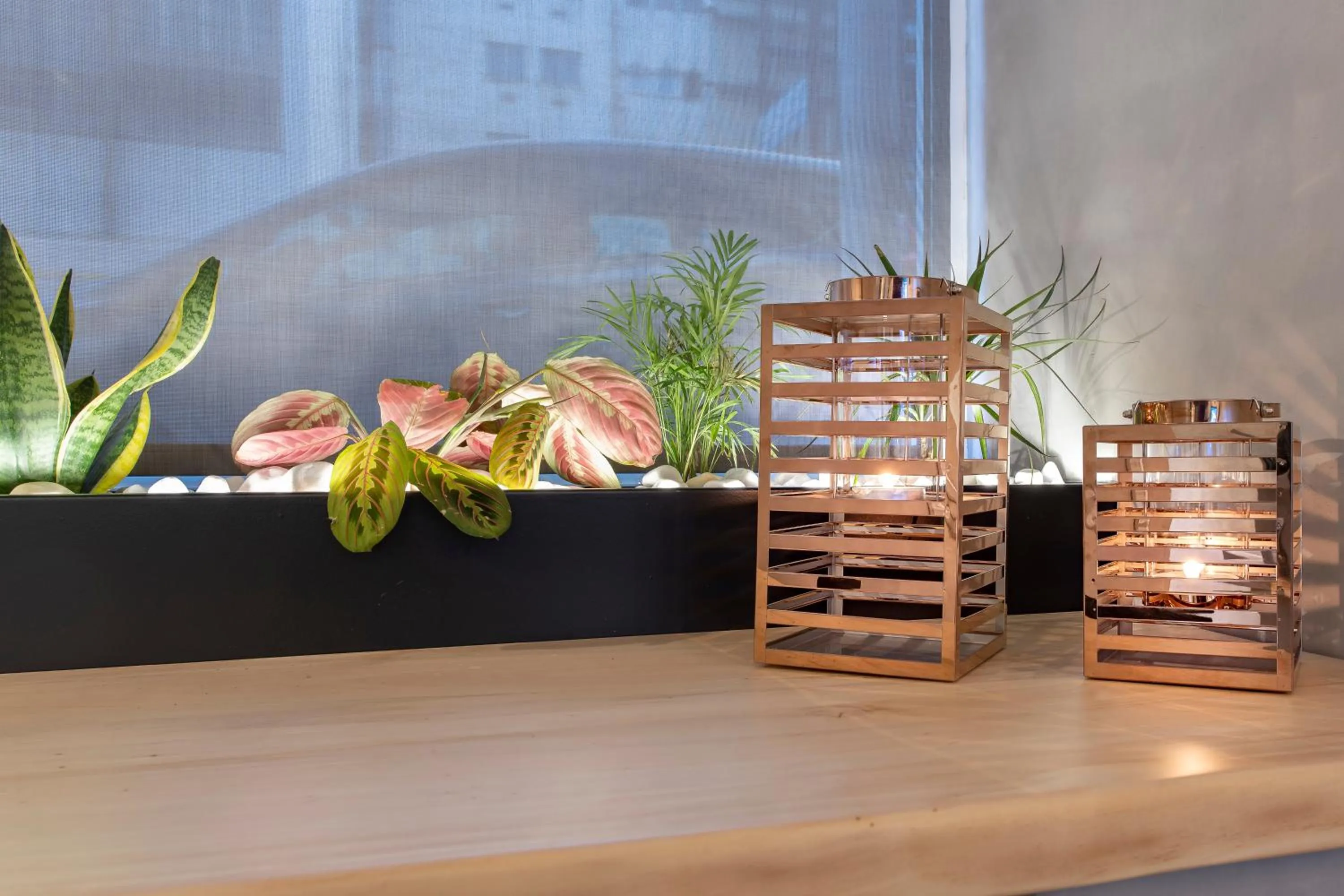 Lobby or reception in Acropolis Stay