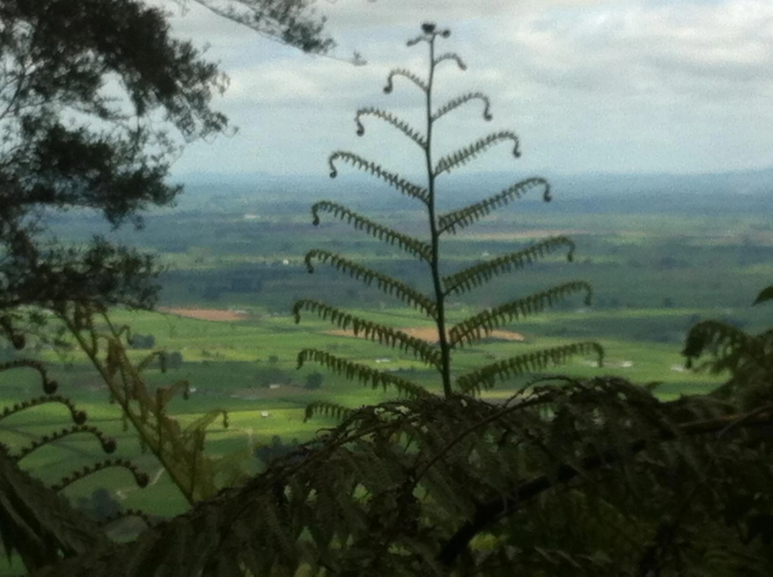 Entertainment in Walnut Lodge B&B