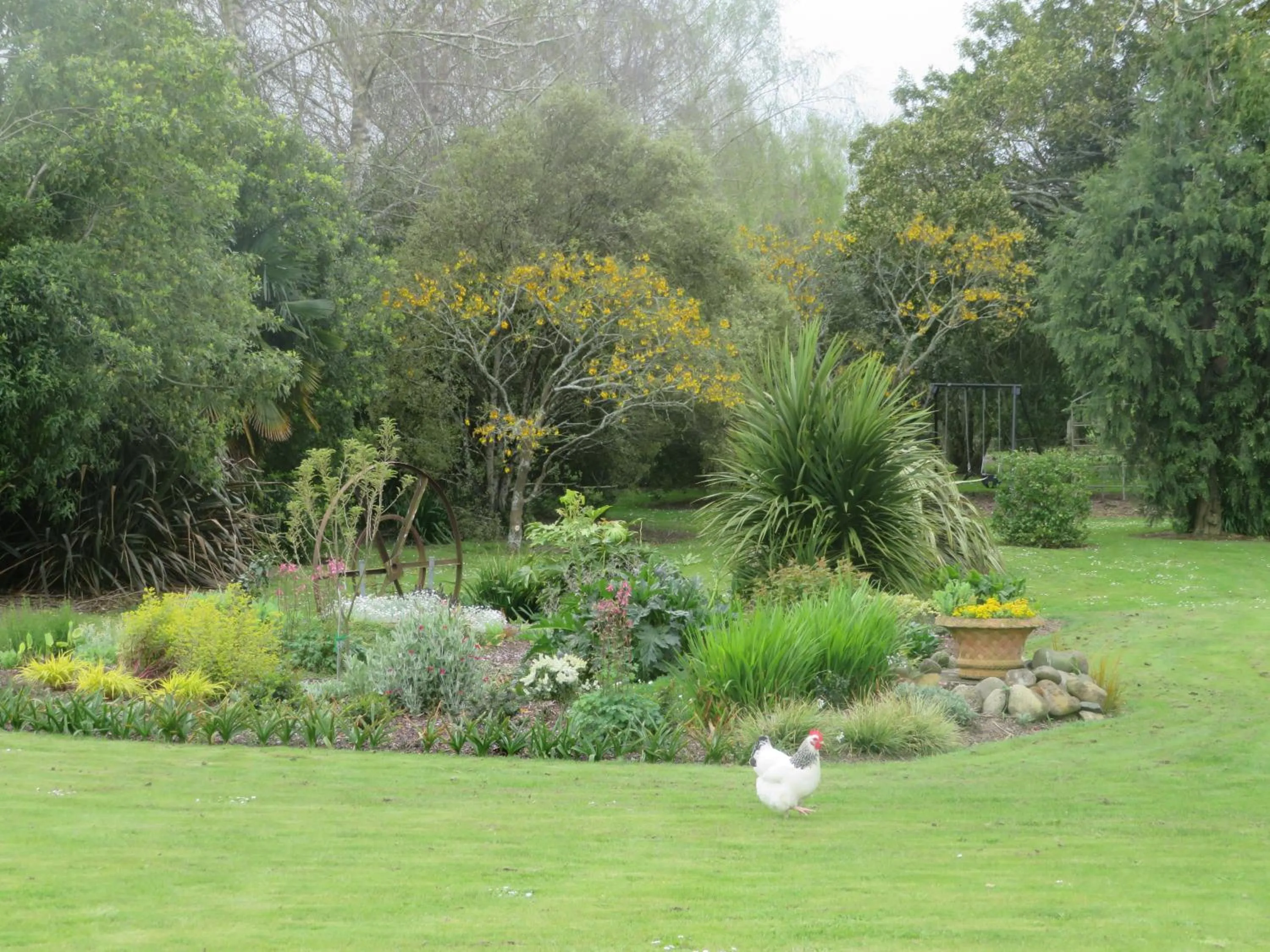 Garden view in Walnut Lodge B&B