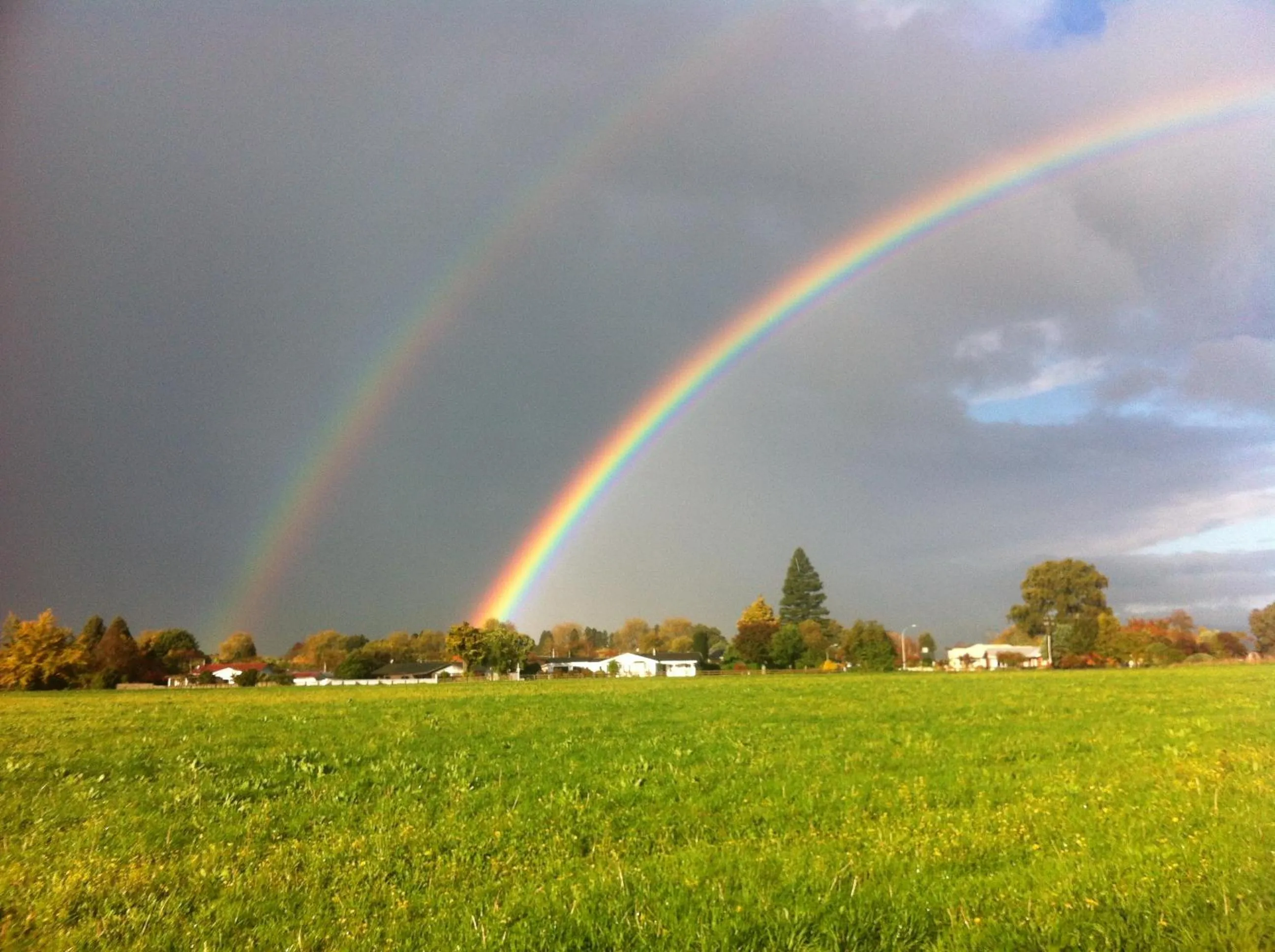 Natural landscape in Walnut Lodge B&B