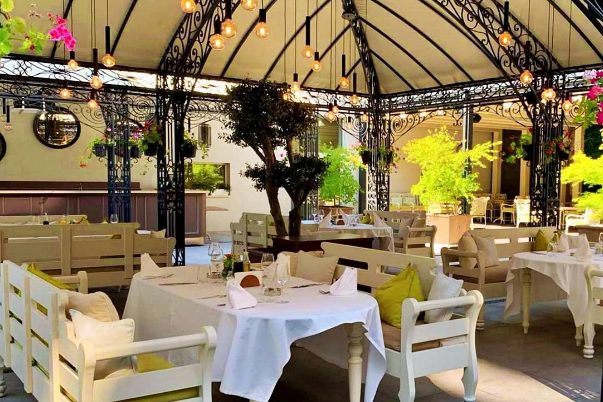 Garden in Dunav Plaza Hotel