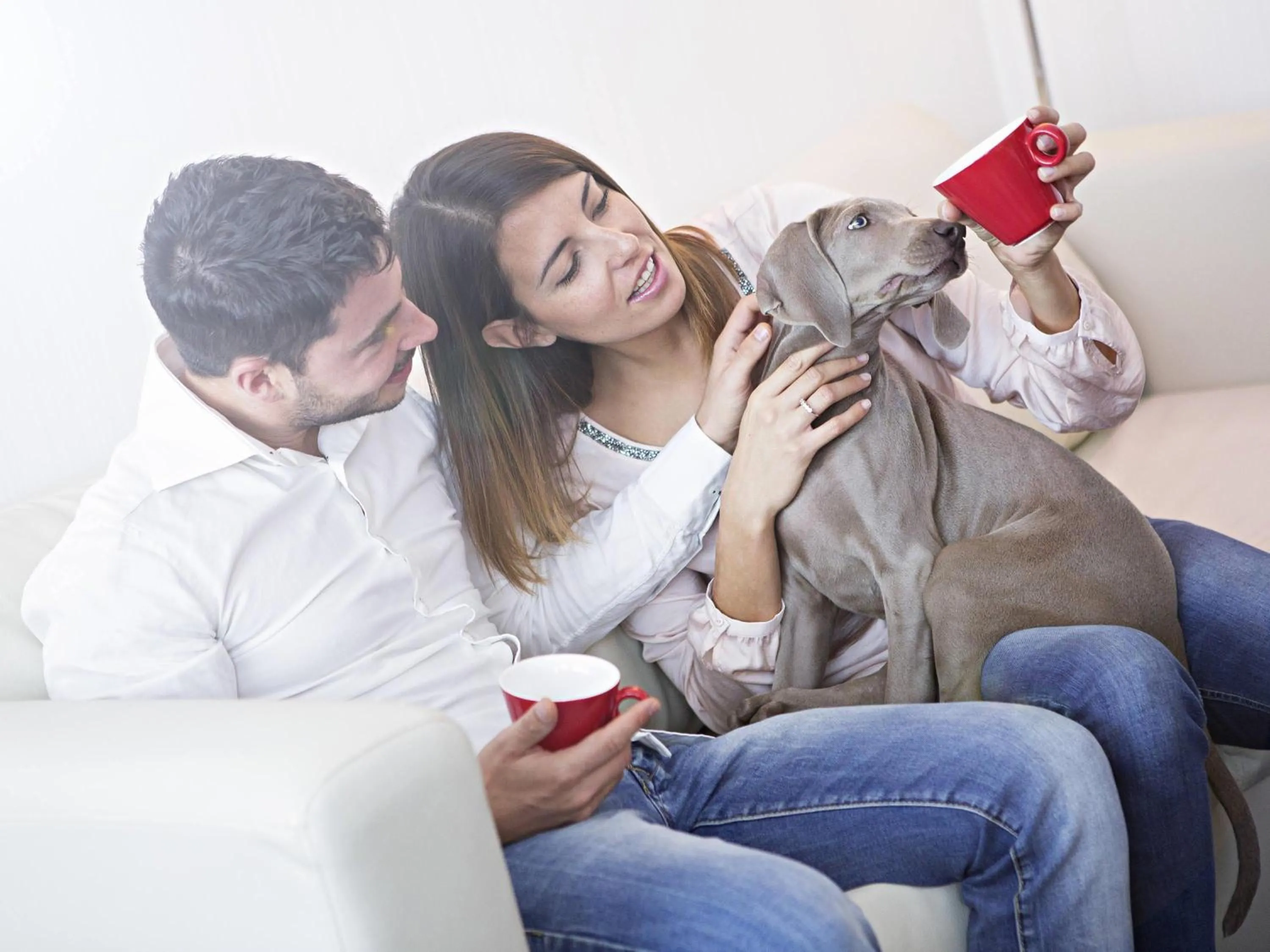 Other in Novotel Roma Eur