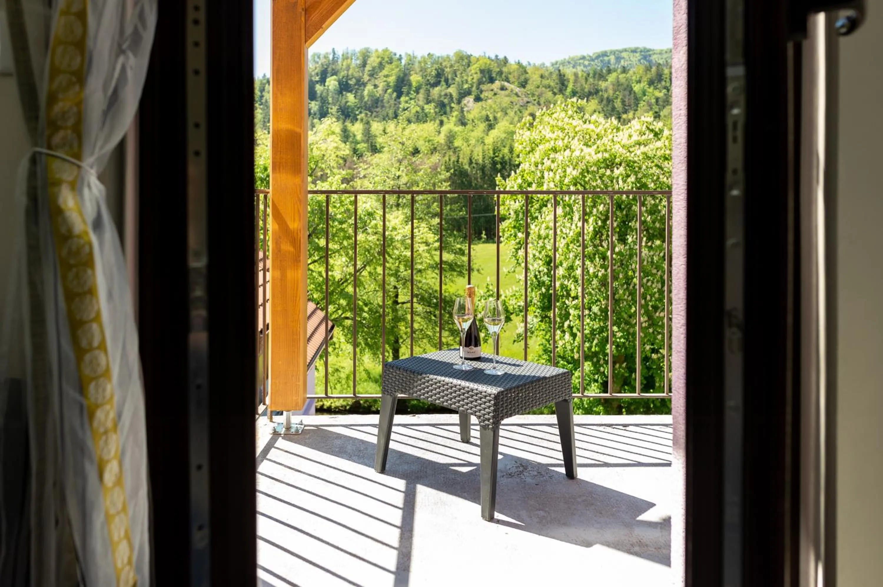 Garden view in Logis Hotel Des Vosges