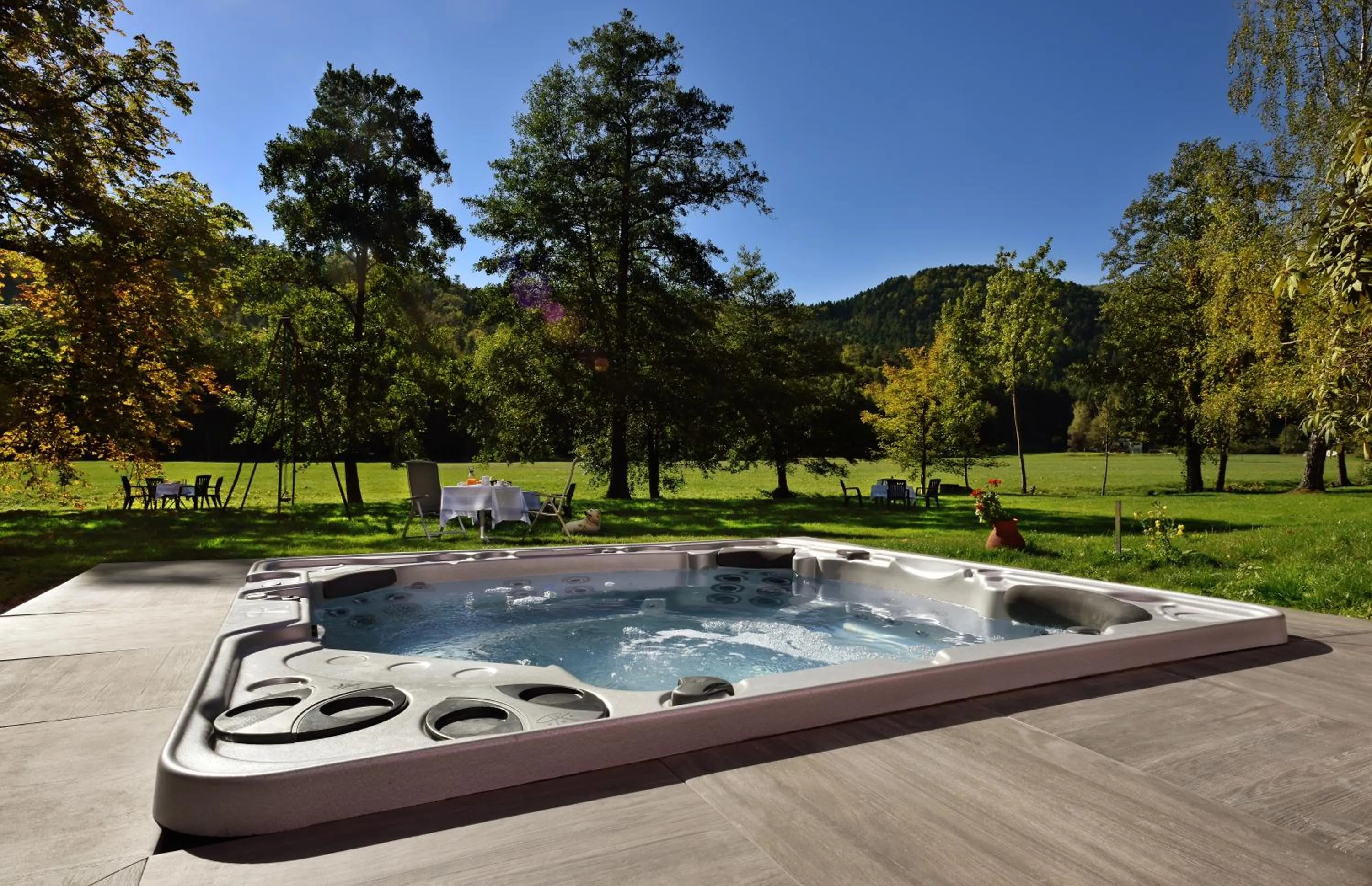 Garden in Logis Hotel Des Vosges