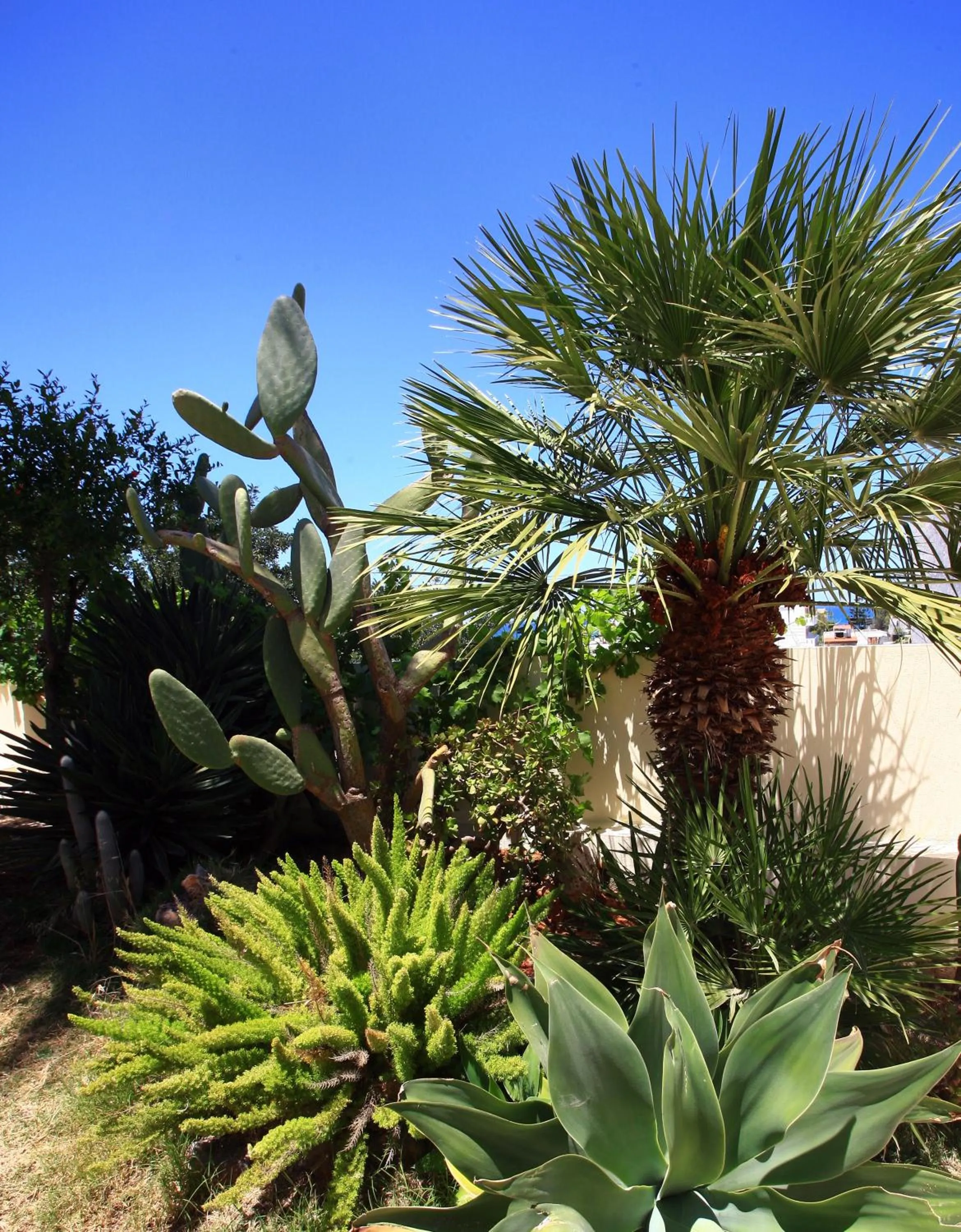 Garden in Eurohotel Katrin Suites