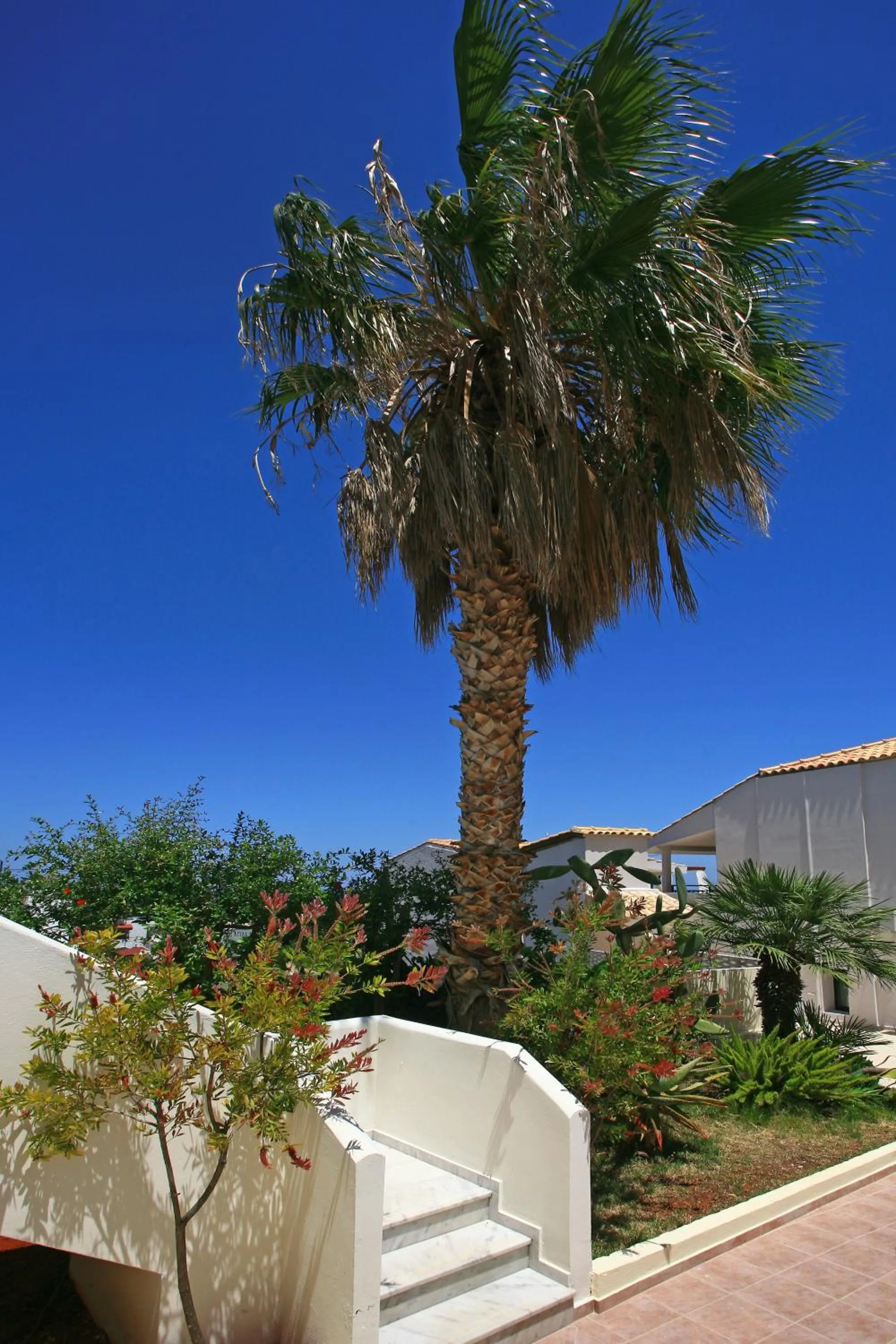 Garden in Eurohotel Katrin Suites