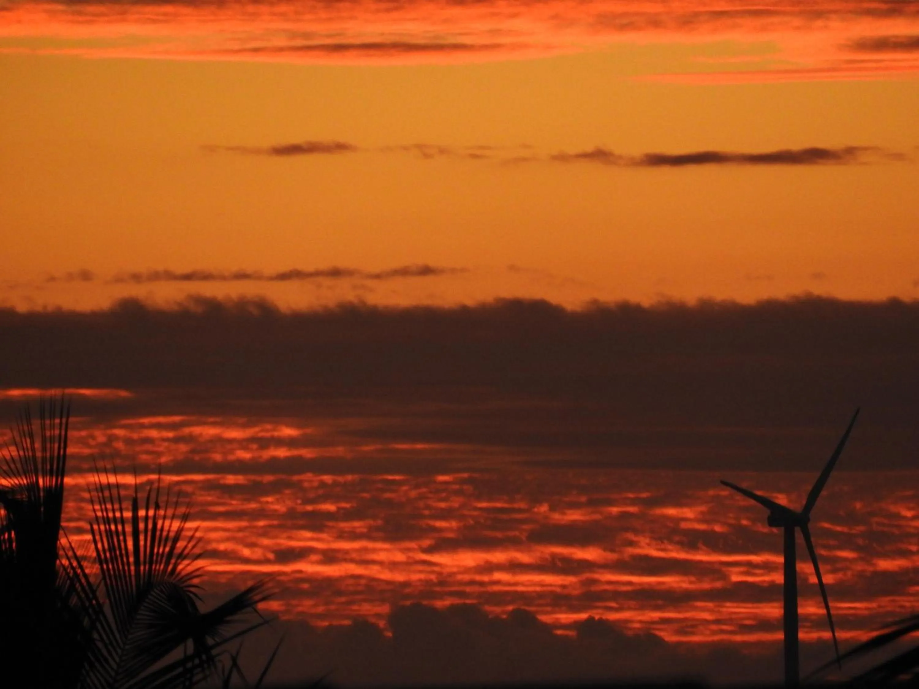 Natural landscape in IL Nuraghe