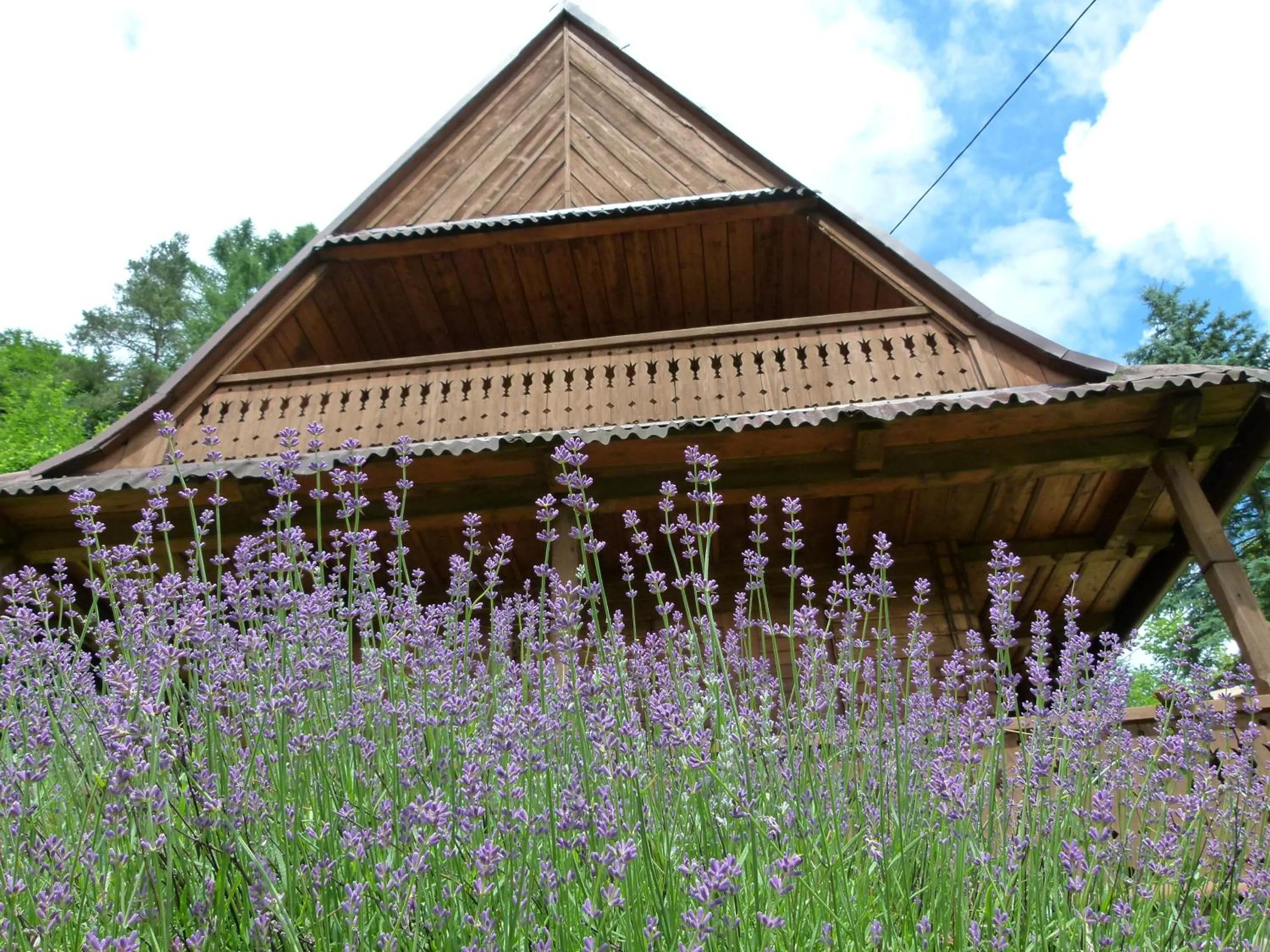 Garden in Drewniany Domek BB Nad Rzeką