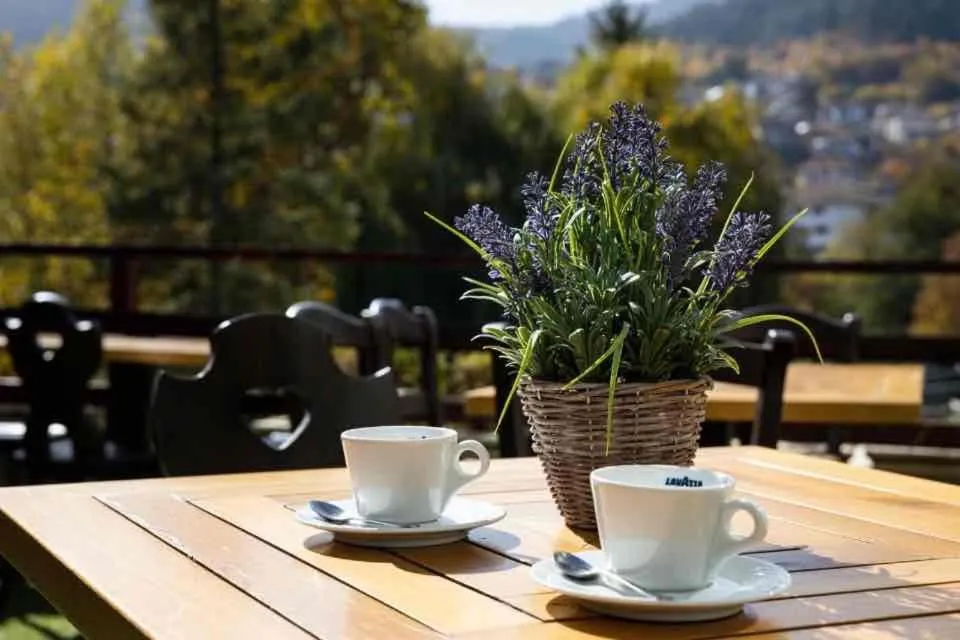 Garden in Devin Spa Hotel