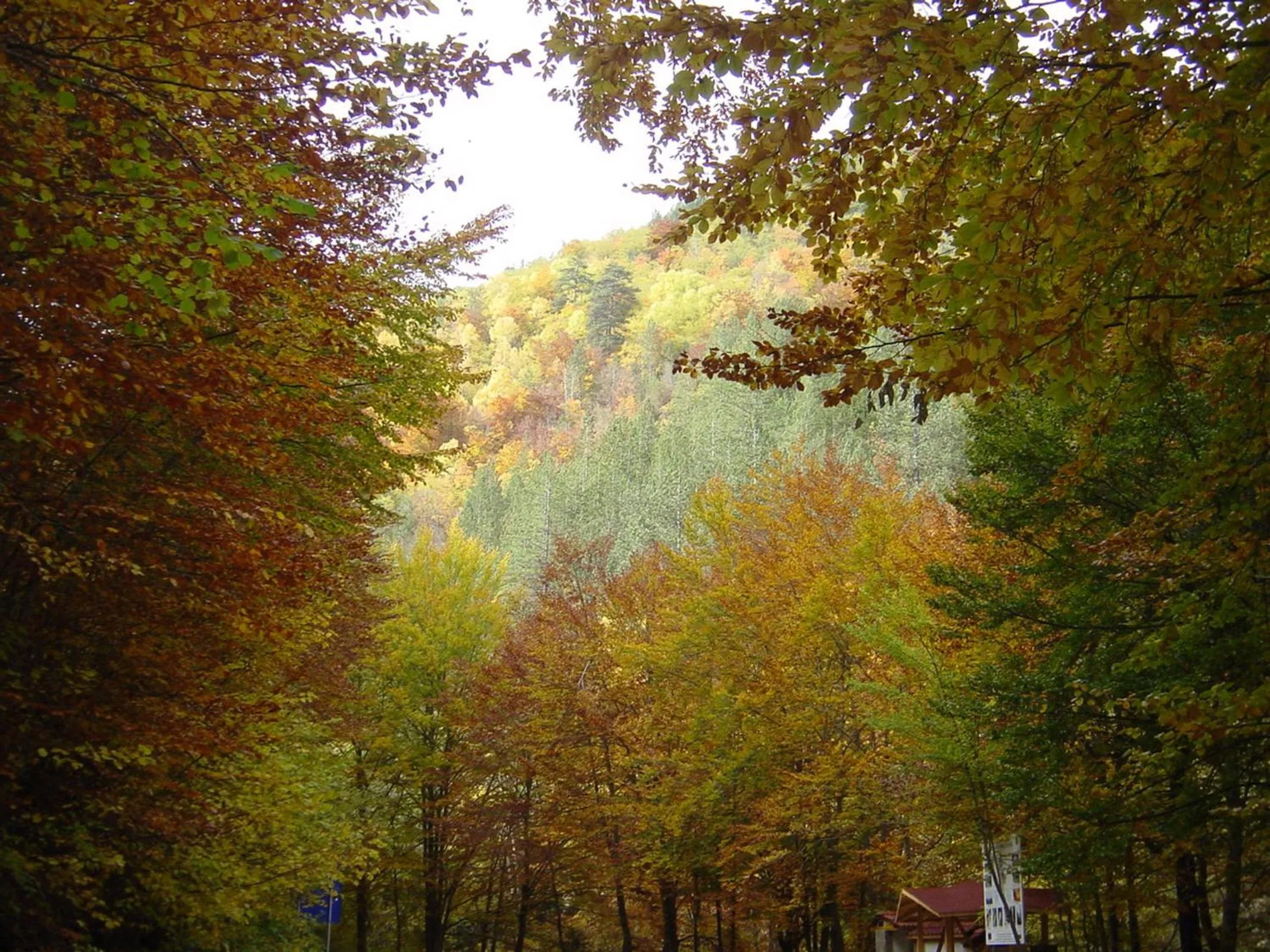 Canoeing in Devin Spa Hotel
