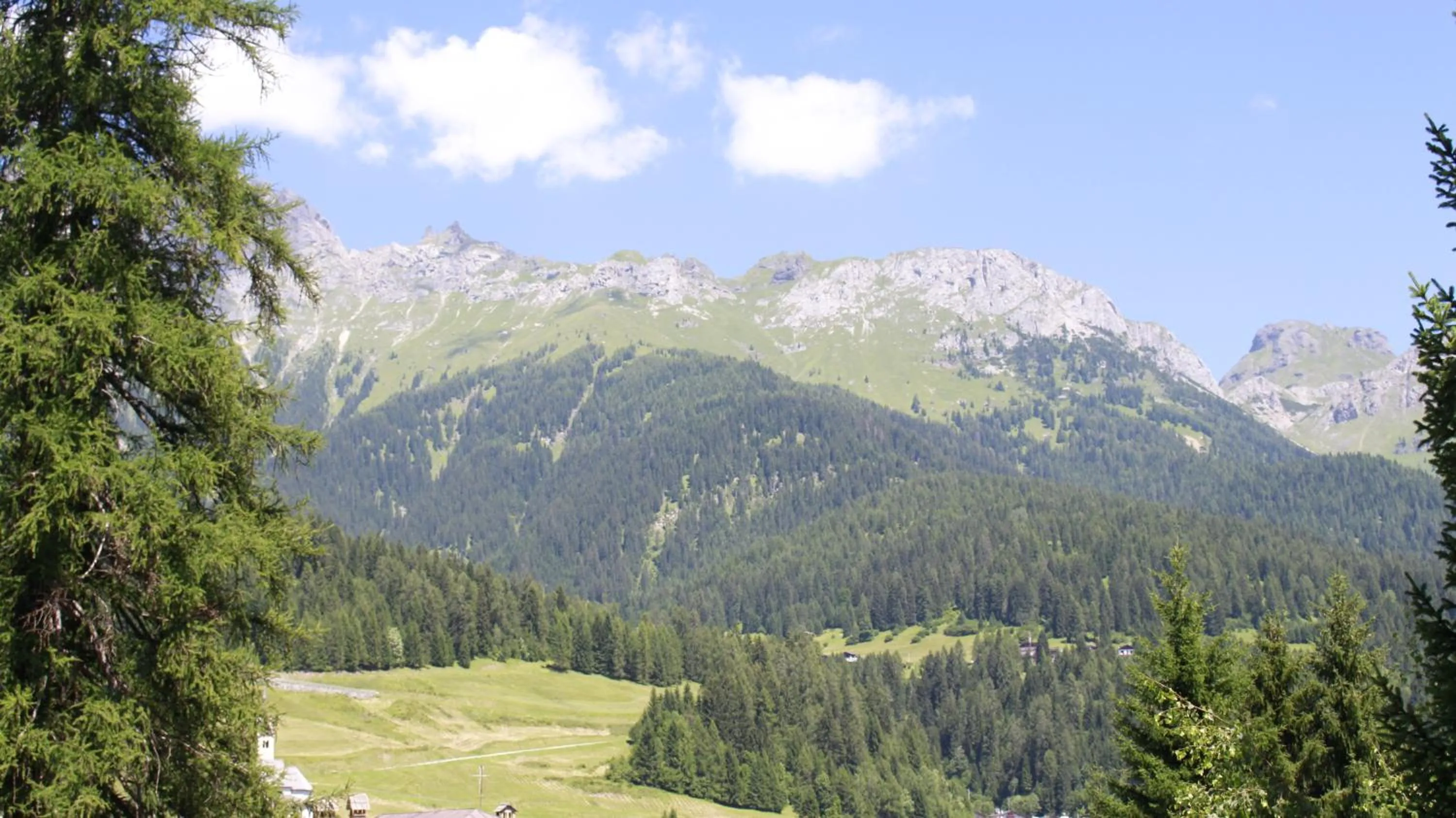 Natural landscape in Albergo Scoiattolo