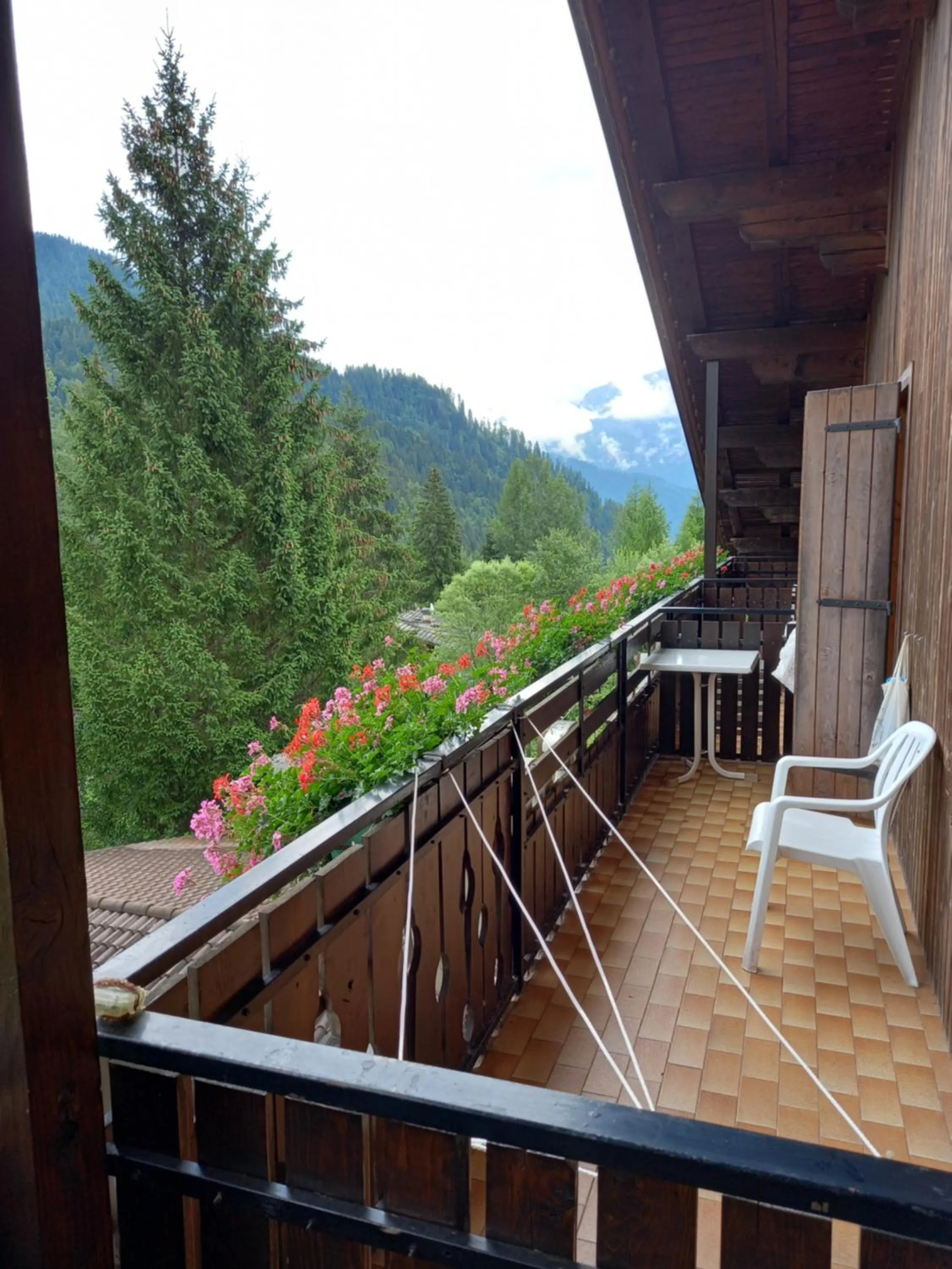 Balcony/Terrace in Albergo Scoiattolo