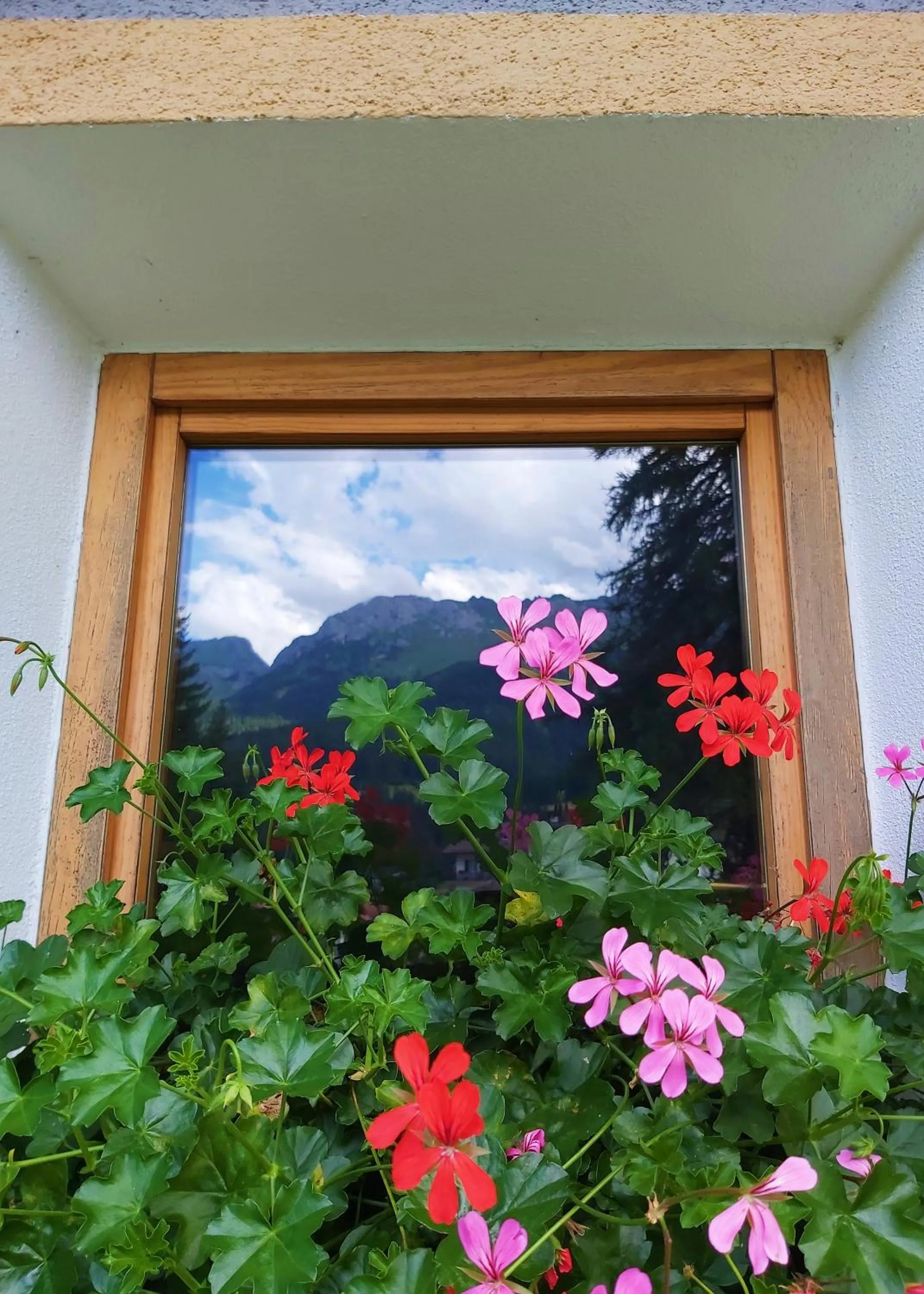 Mountain view in Albergo Scoiattolo