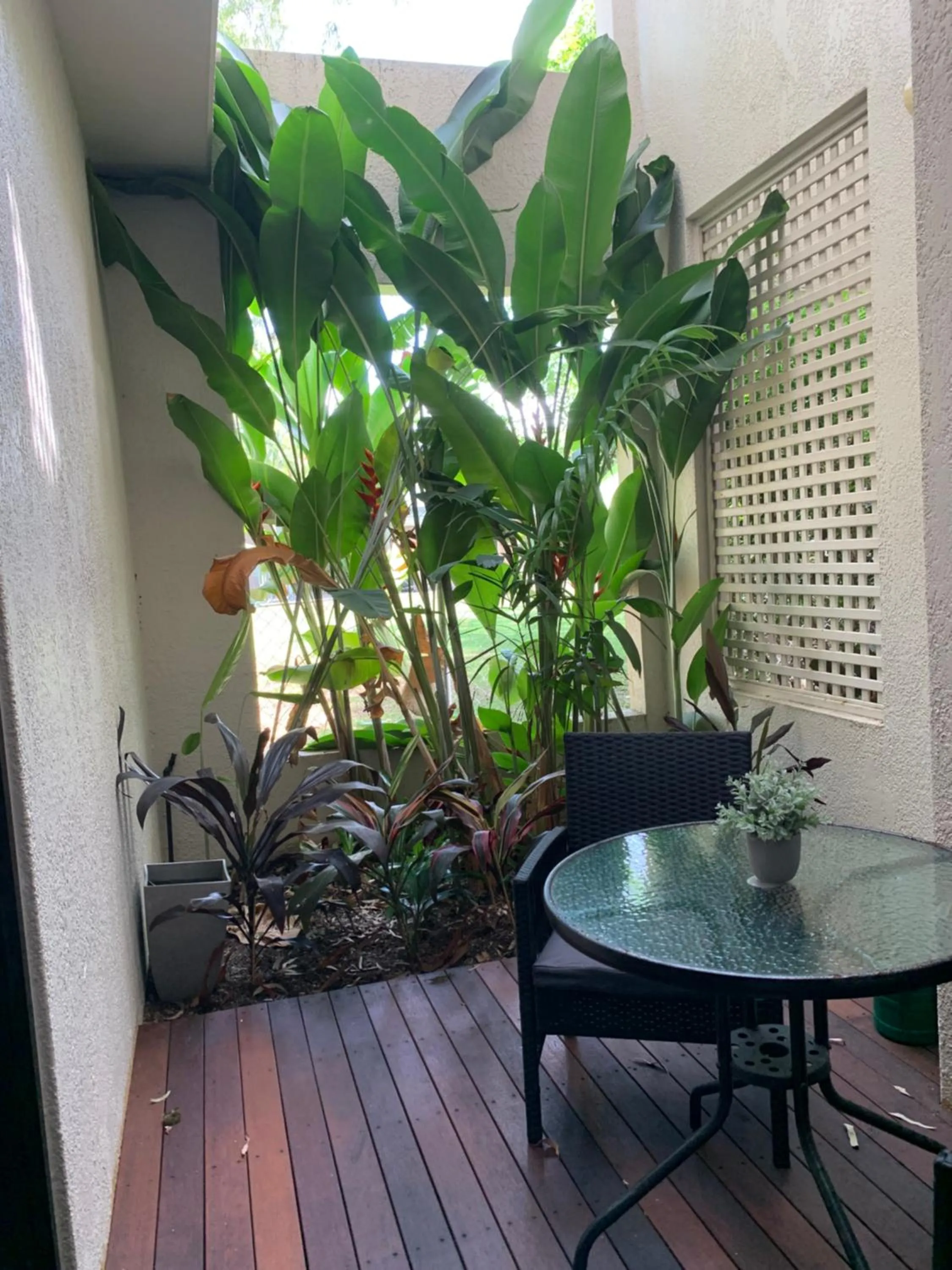 Garden in The Mediterranean Port Douglas