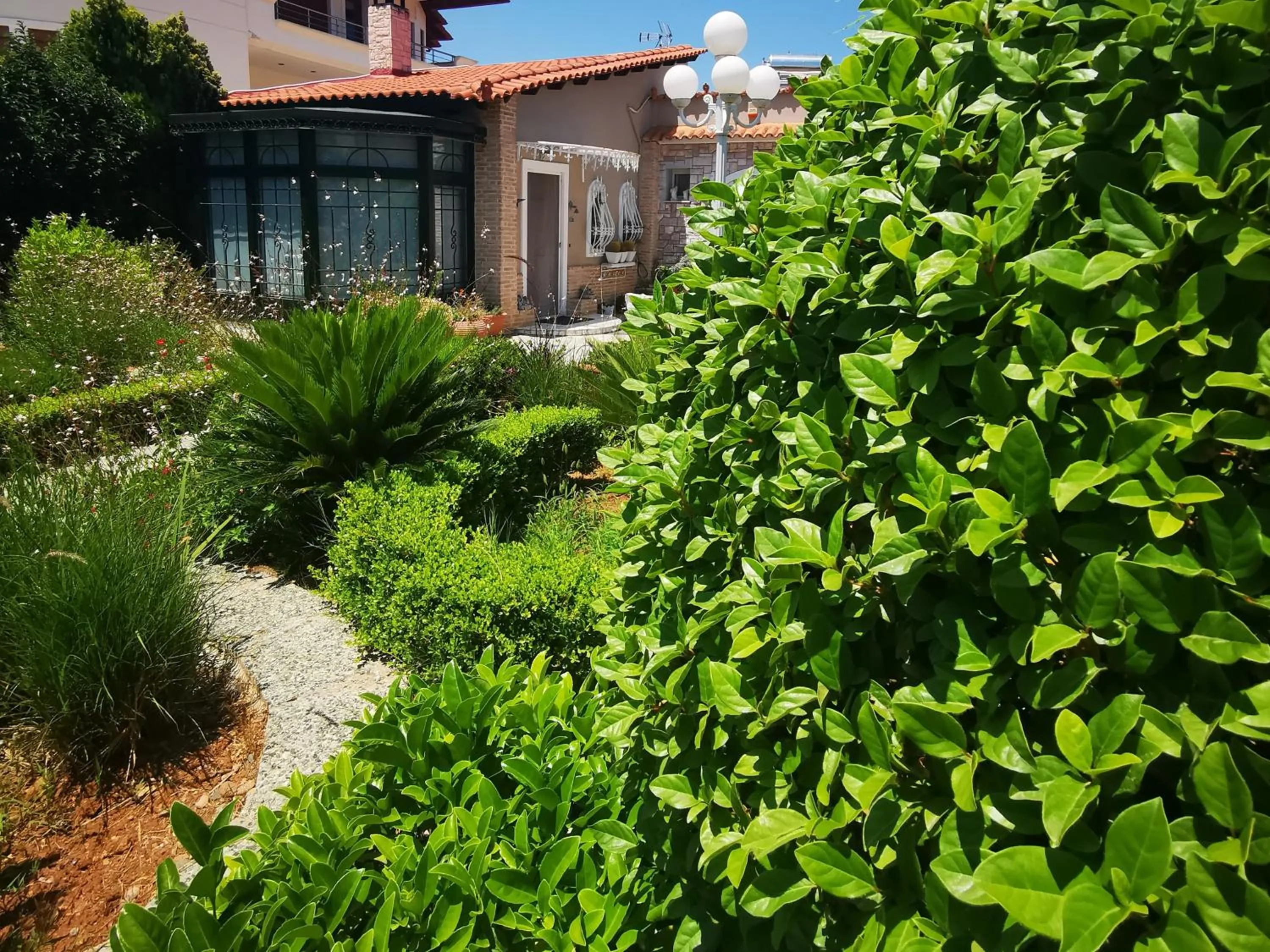 Garden in Natalie Apartments