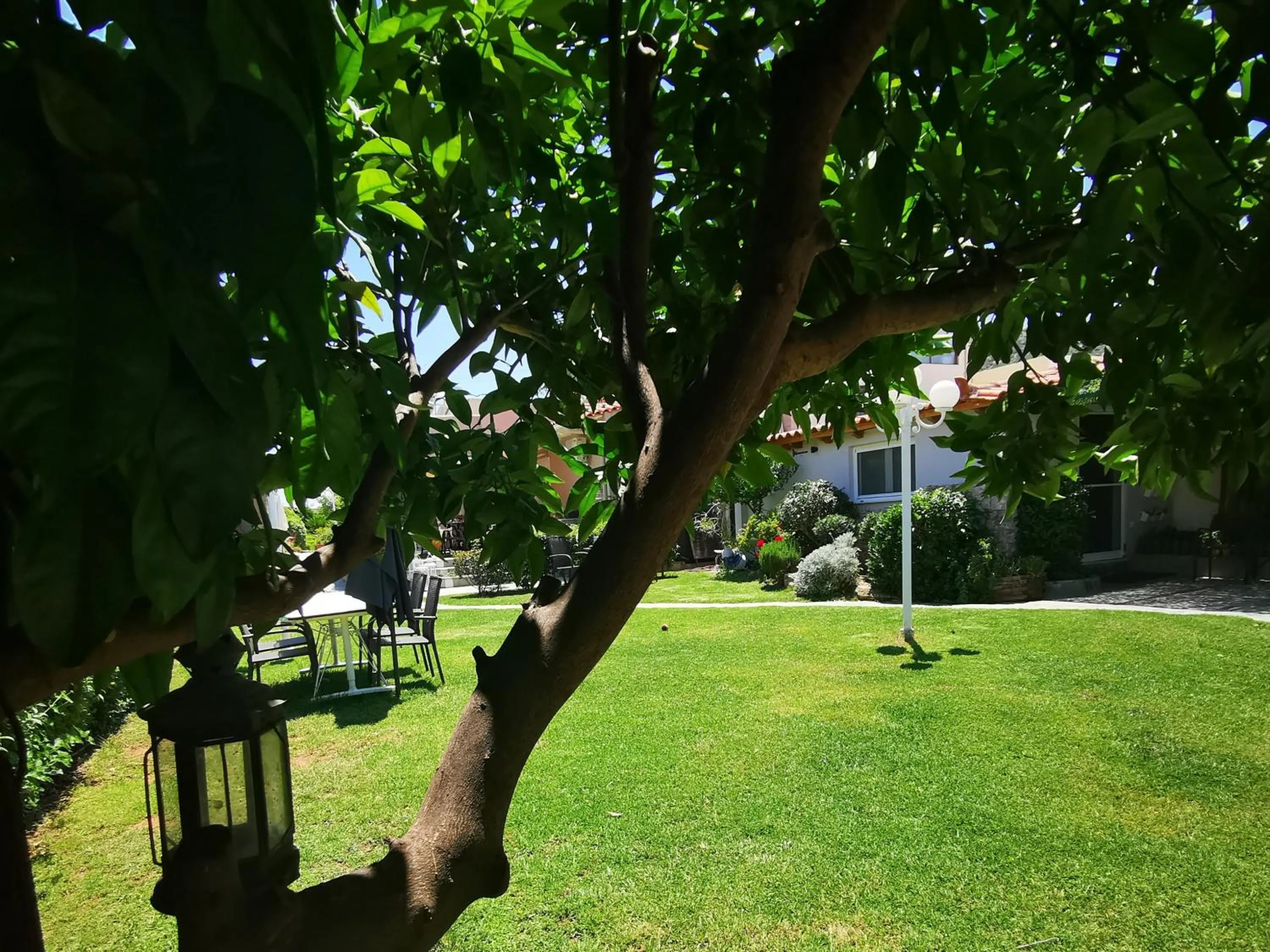 Garden in Natalie Apartments