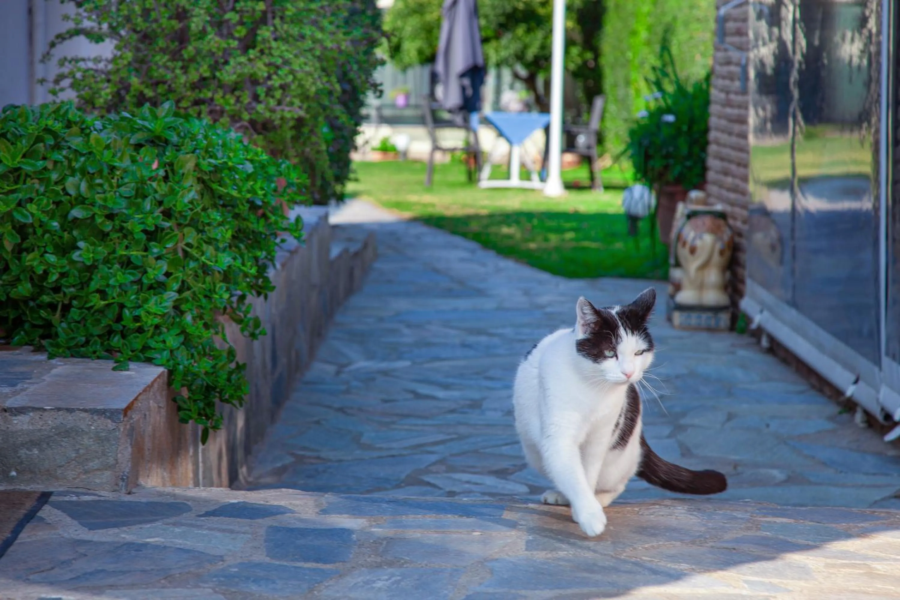 Pets in Natalie Apartments