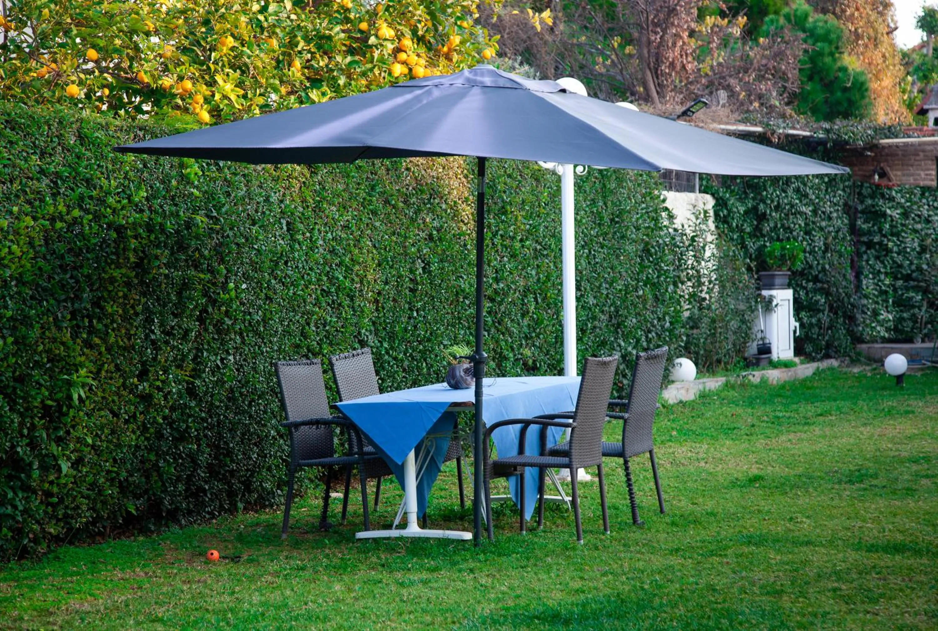 Garden view in Natalie Apartments