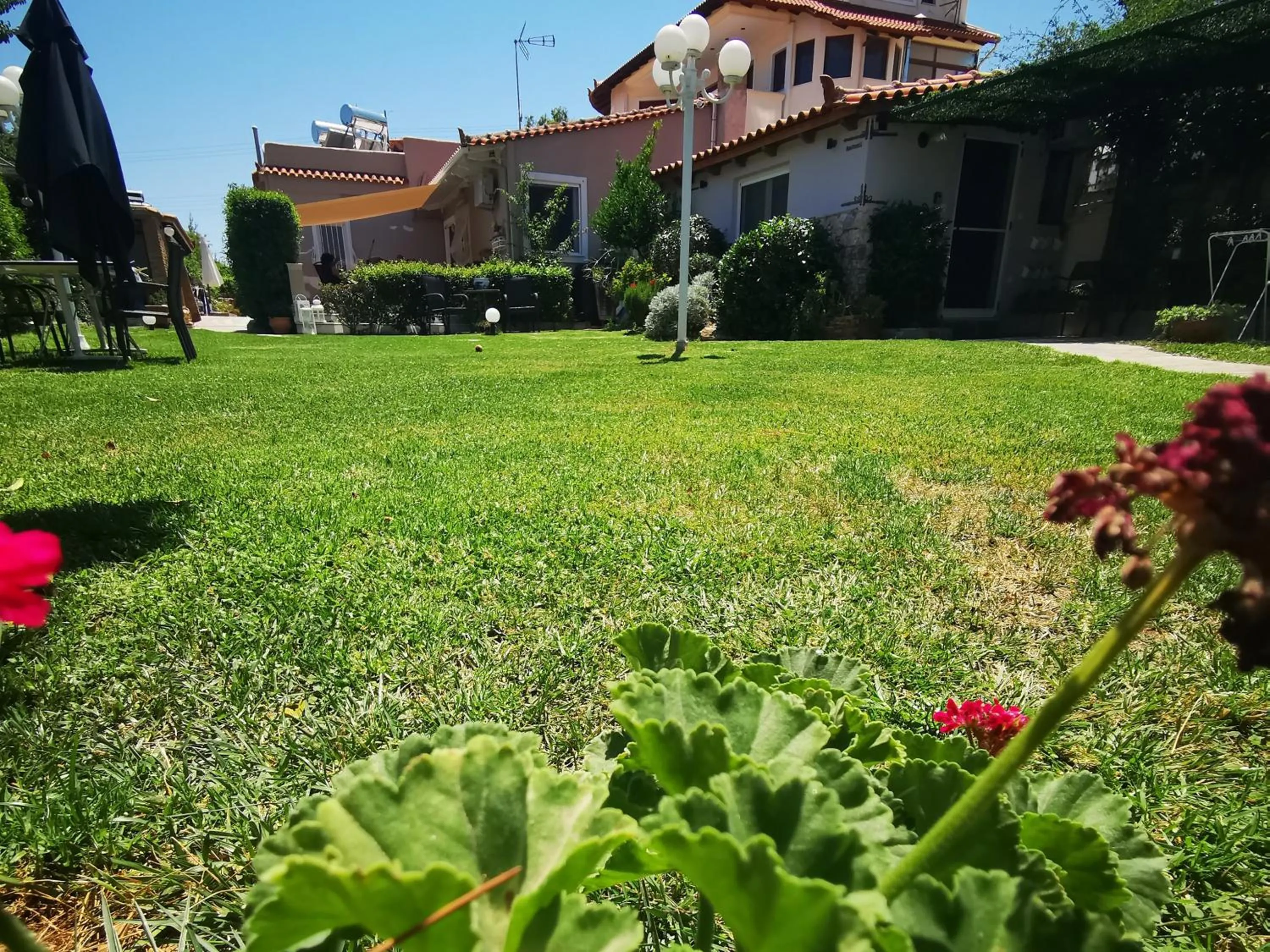 Garden in Natalie Apartments