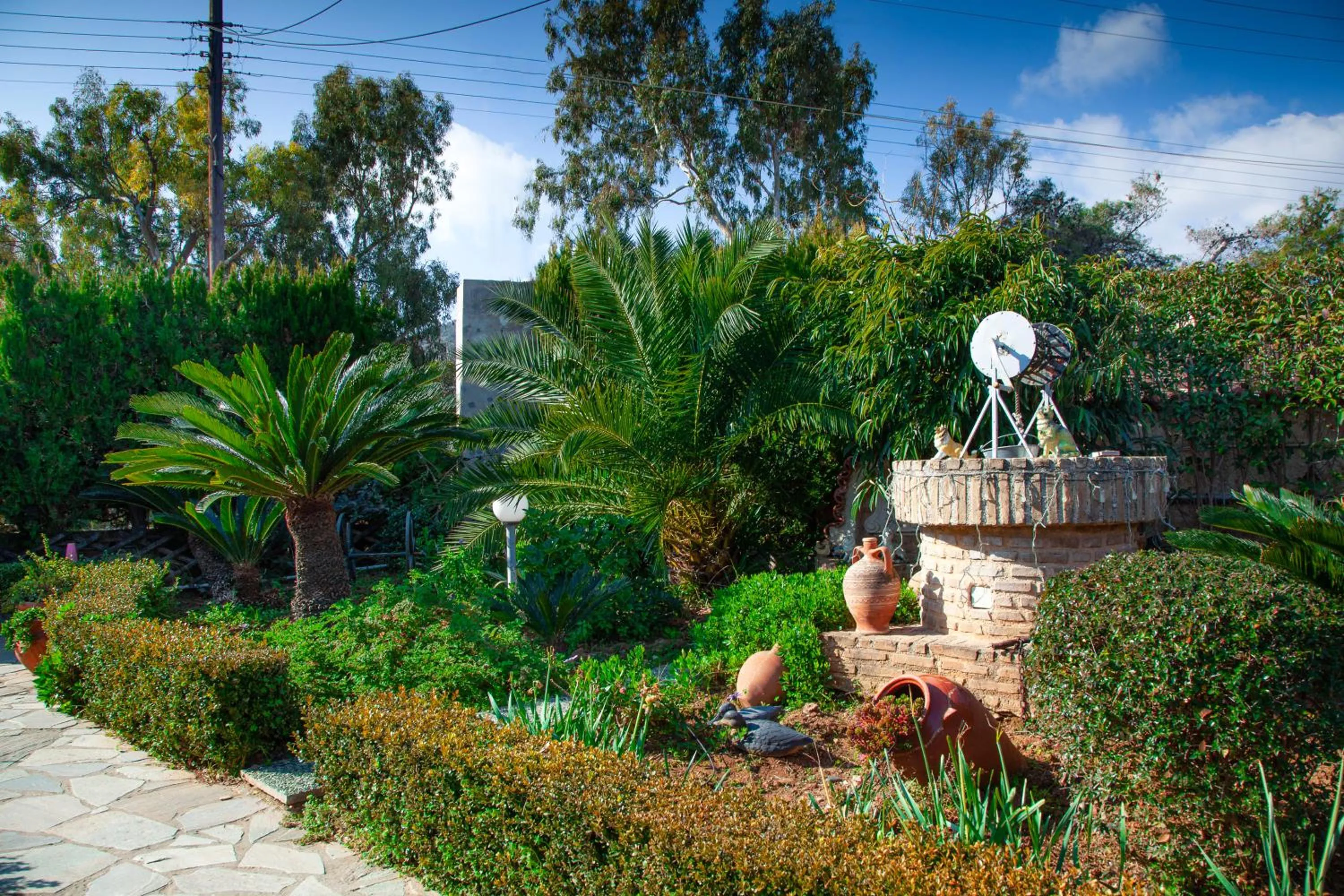 Garden in Natalie Apartments