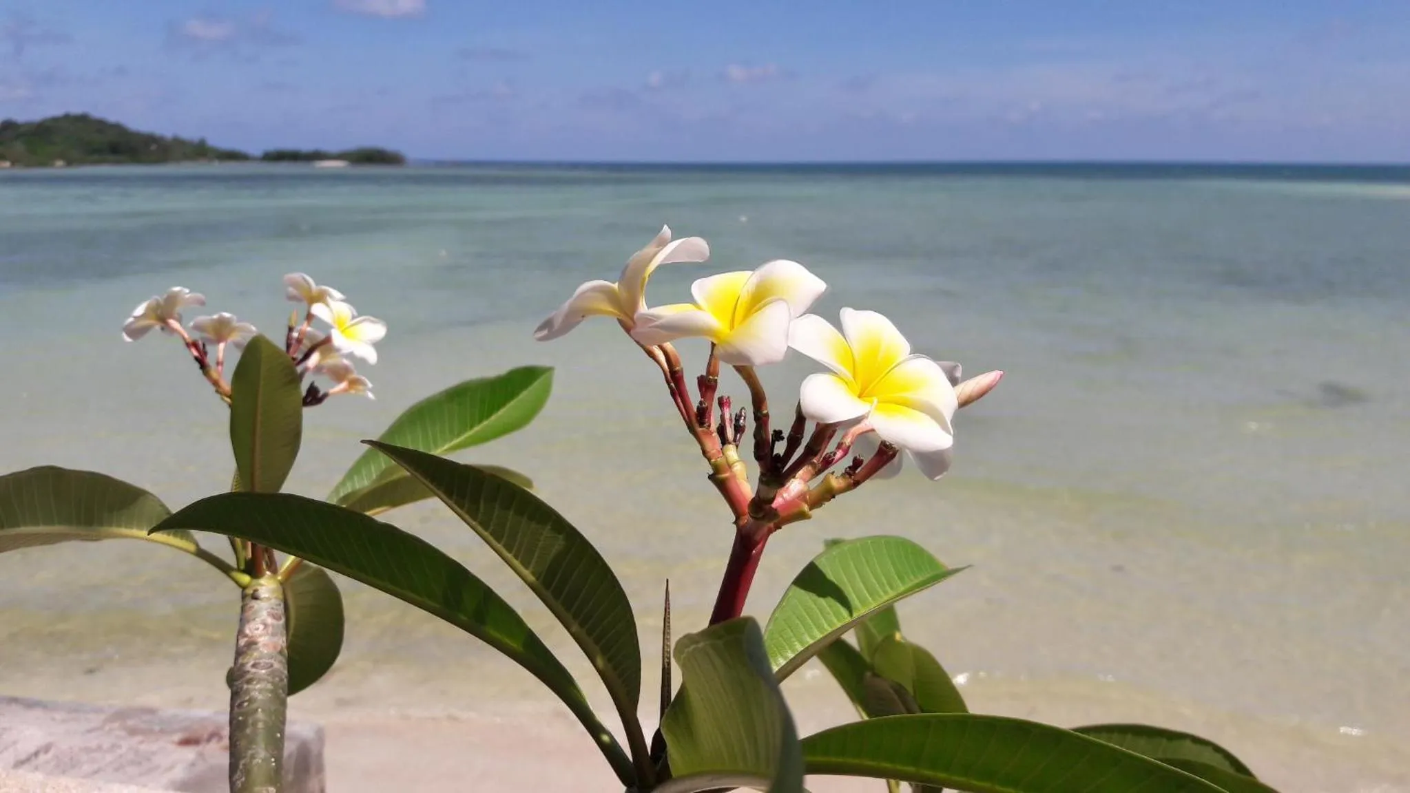 Property building in Papillon Resort