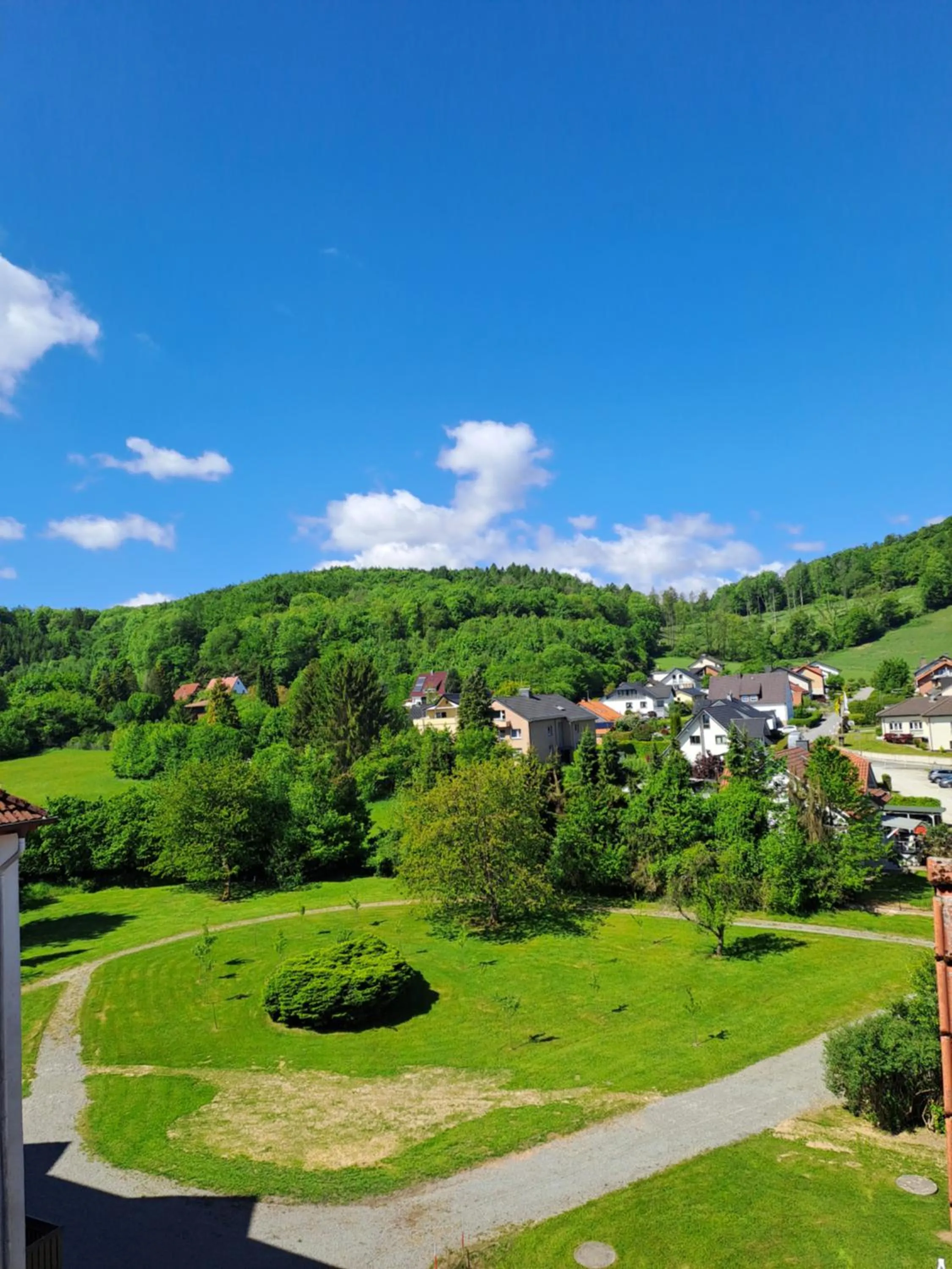View (from property/room) in Waldhotel Bärenstein