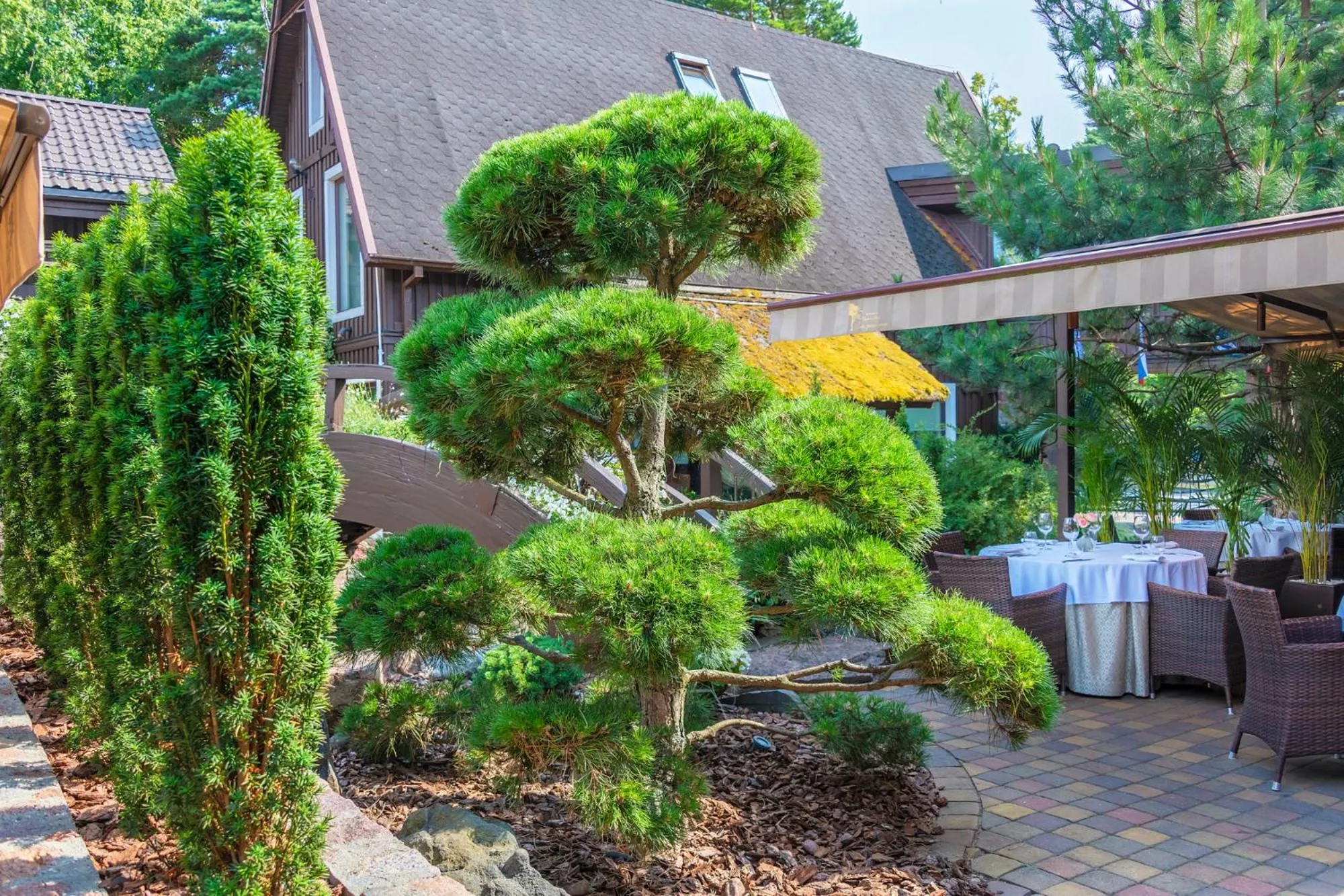 Patio in Hotel Pušų paunksnėje