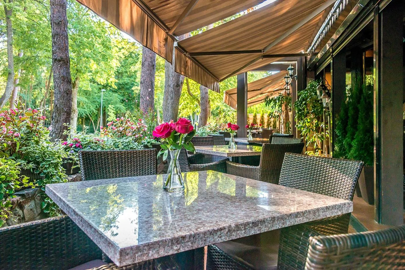 Restaurant/places to eat in Hotel Pušų paunksnėje