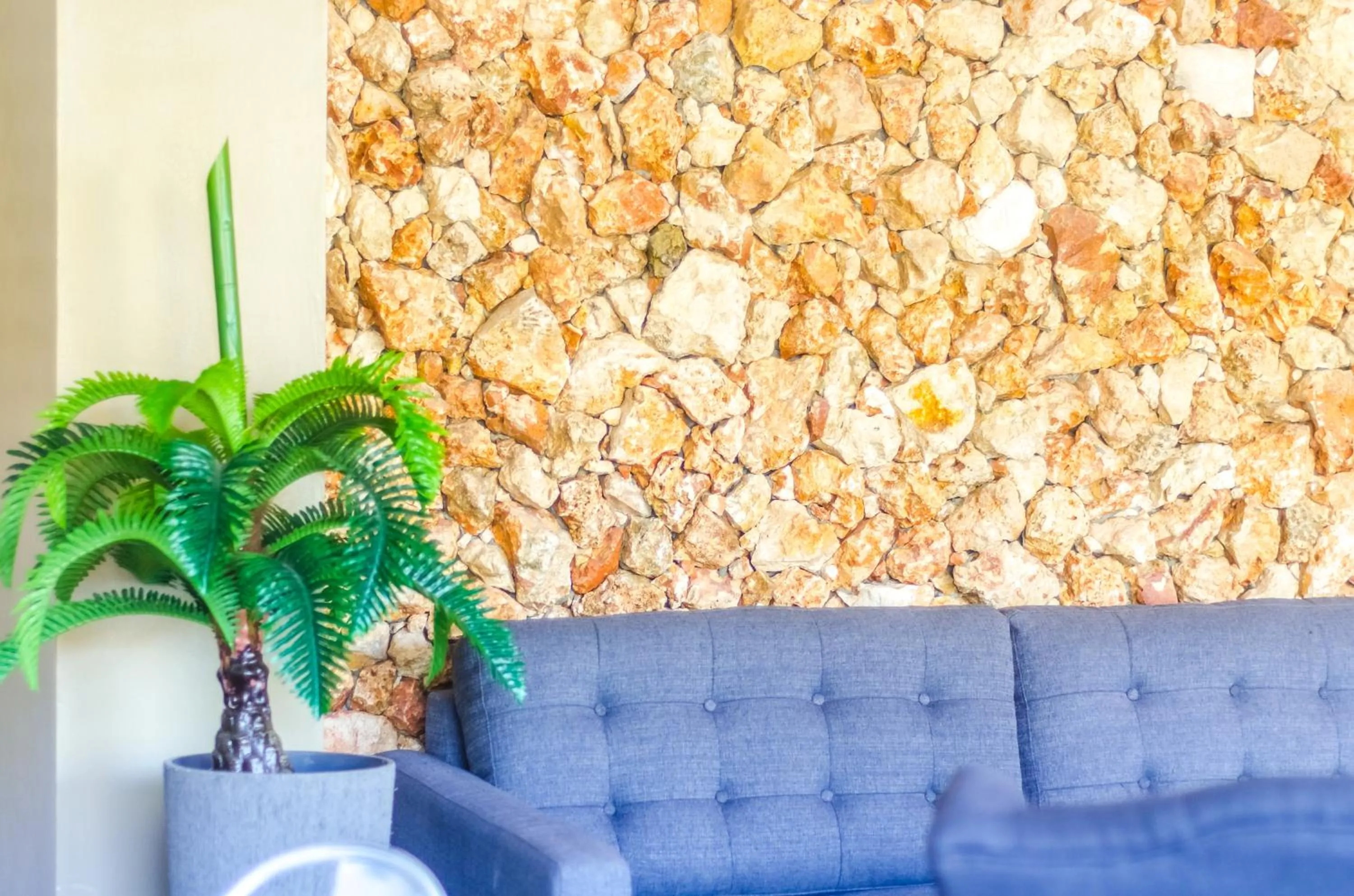 Communal lounge/ TV room in Bed & Bike Curacao - Pietermaai