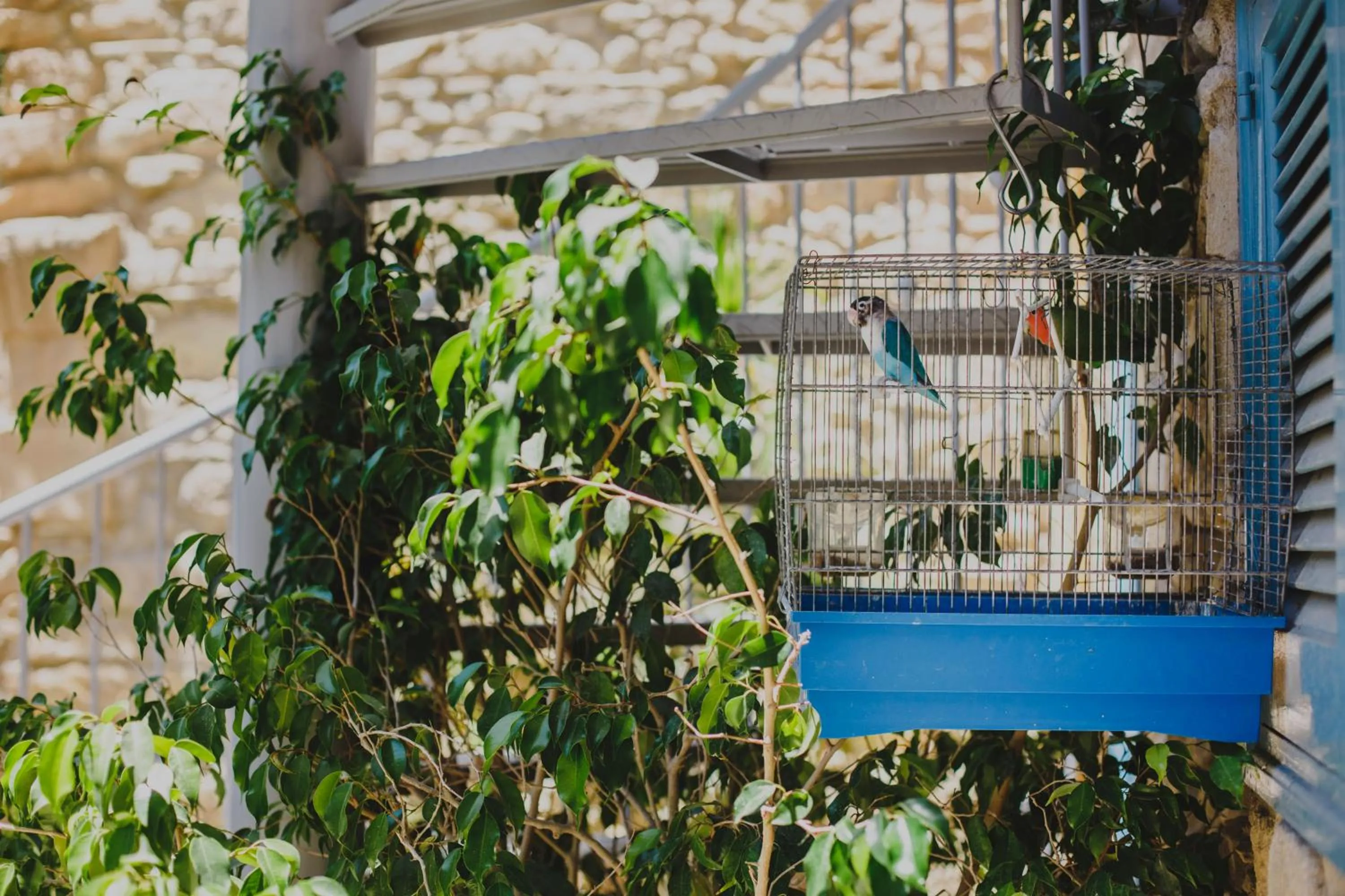 Day in Alkisti City Hotel