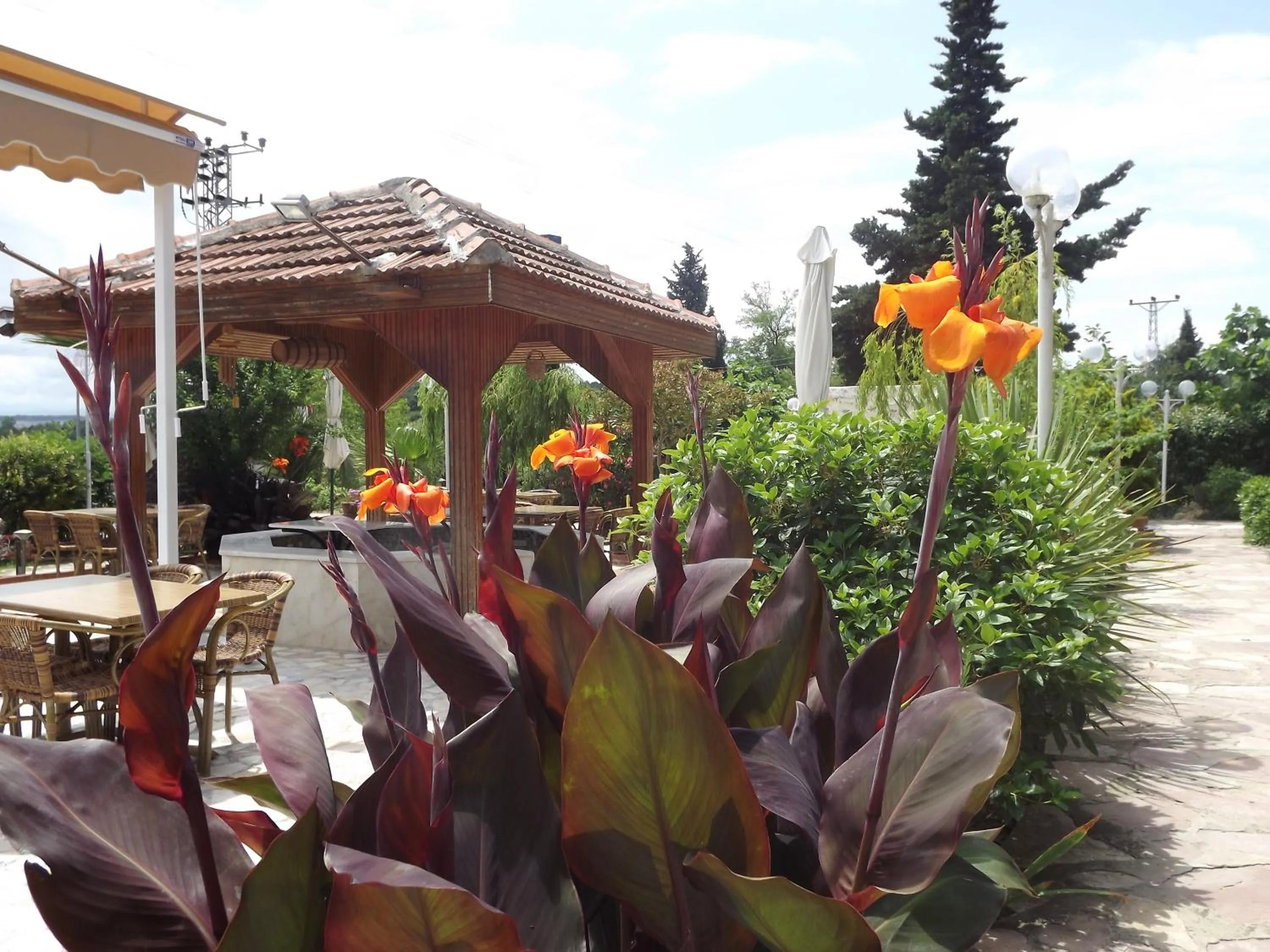 Hamsilos Apart Hotel