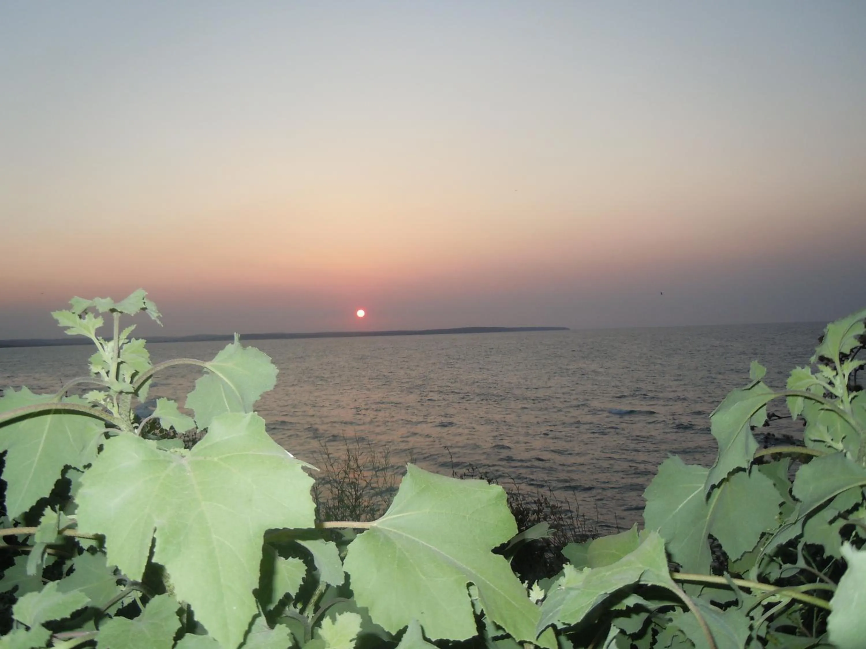 Natural landscape in Hamsilos Apart Hotel