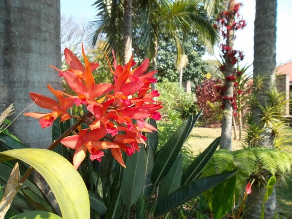 Garden in Ku De Ta B&B