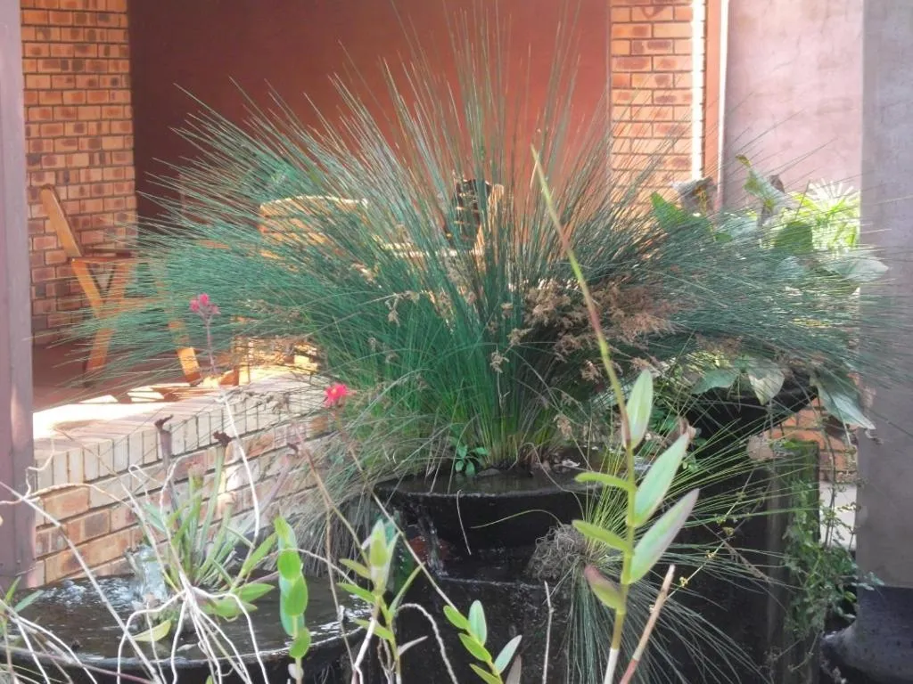 Garden in Ku De Ta B&B