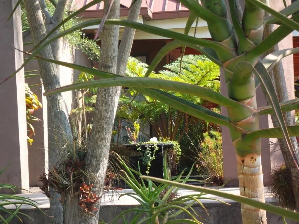 Garden in Ku De Ta B&B