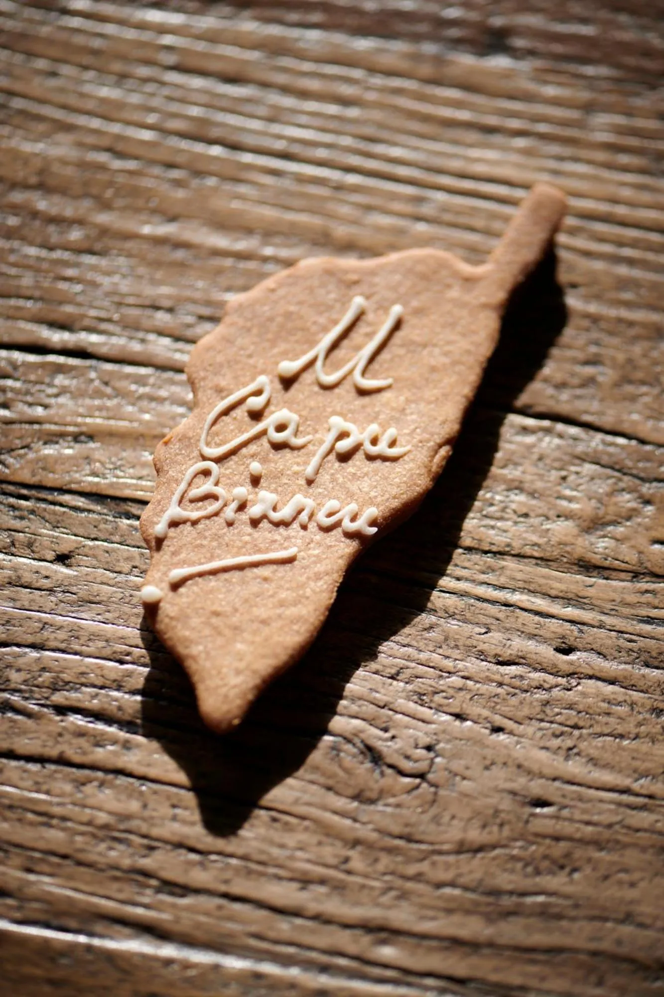 Restaurant/places to eat in U Capu Biancu