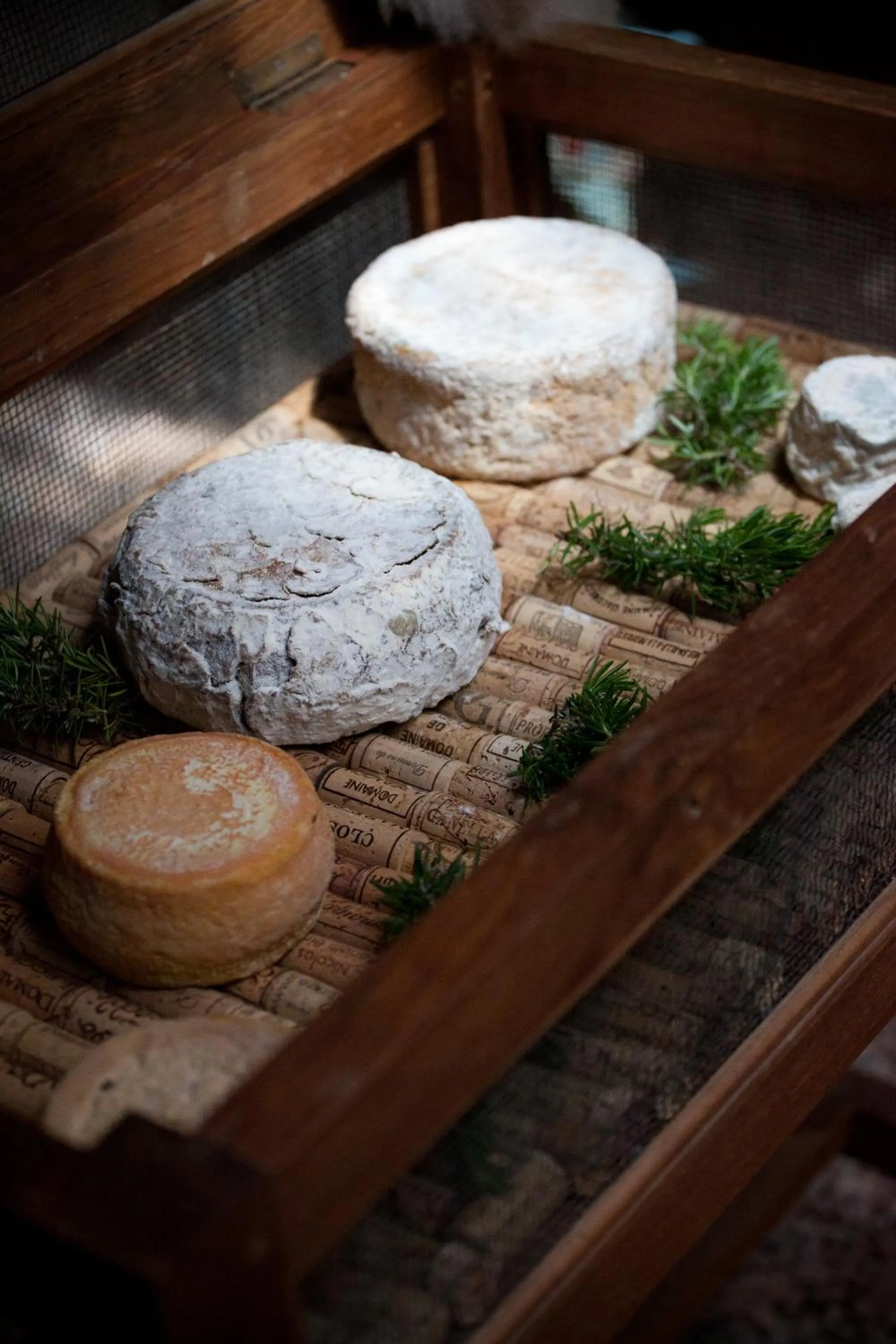 Food close-up in U Capu Biancu