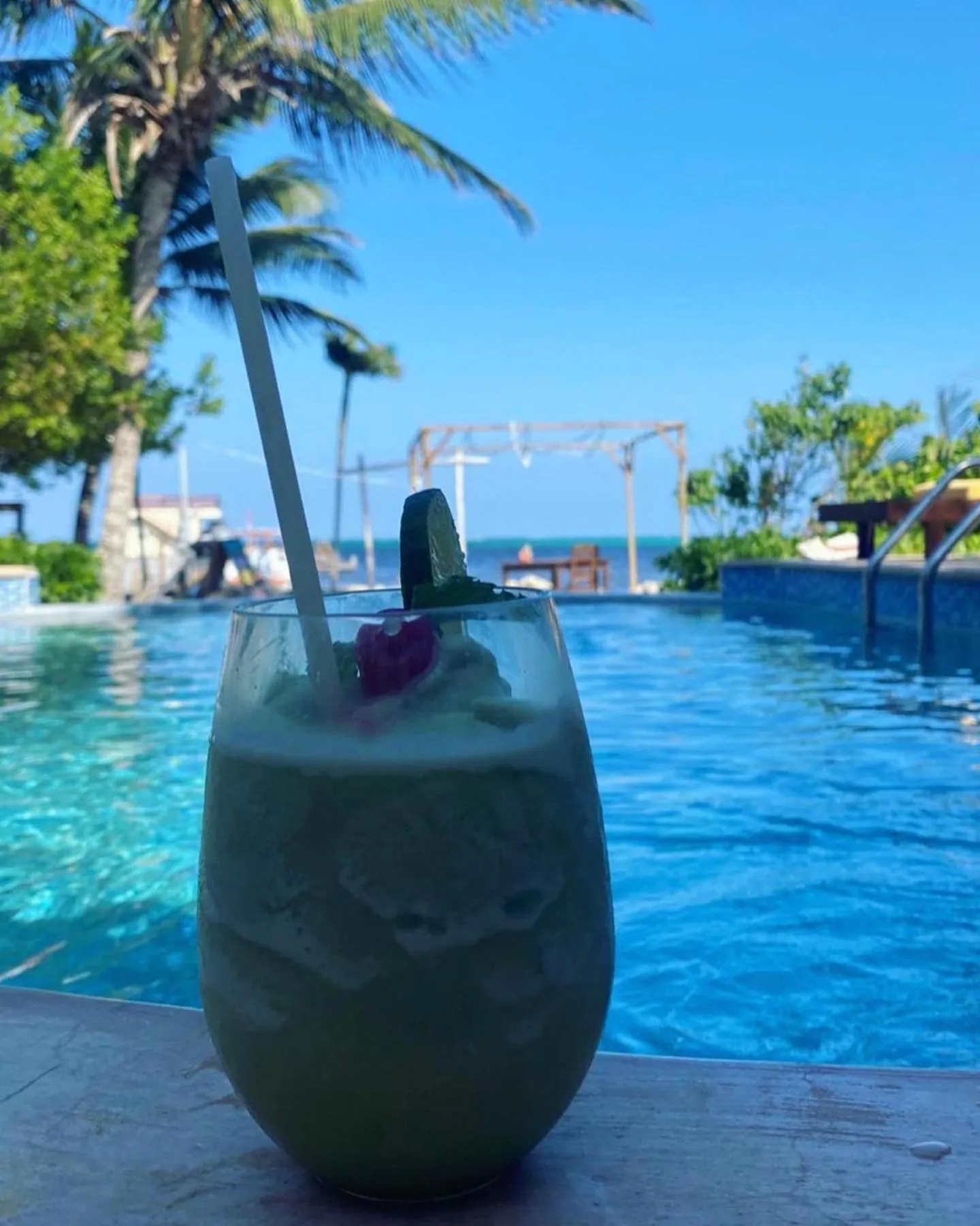 Restaurant/places to eat in Bella Vista Resort Belize