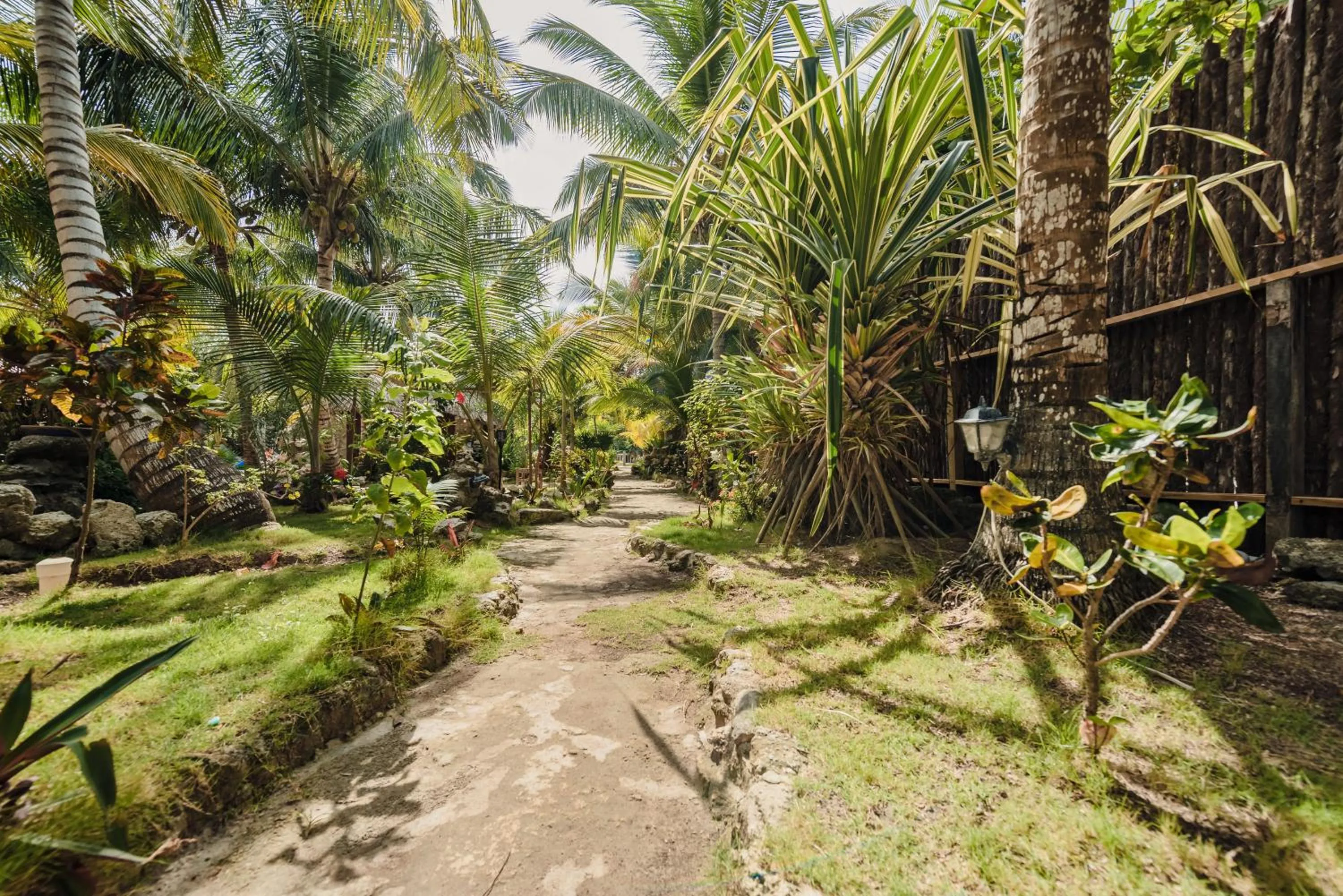 Garden view in Bella Vista Resort Belize