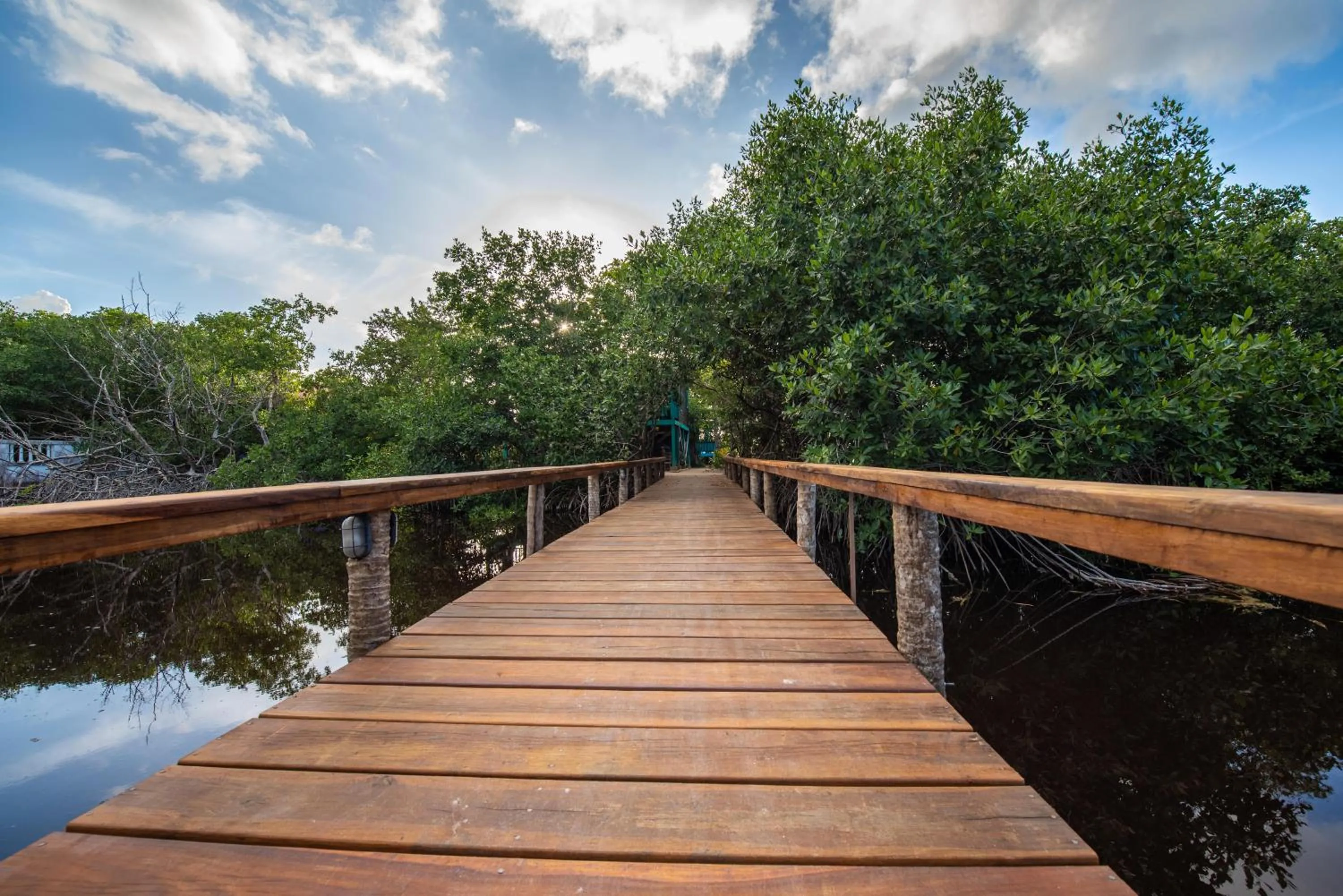 Natural landscape in Bella Vista Resort Belize