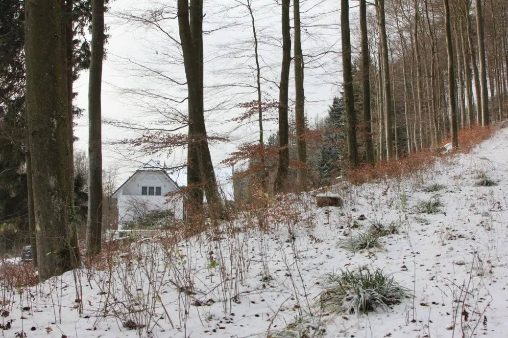 Property building in Pension Walddorf