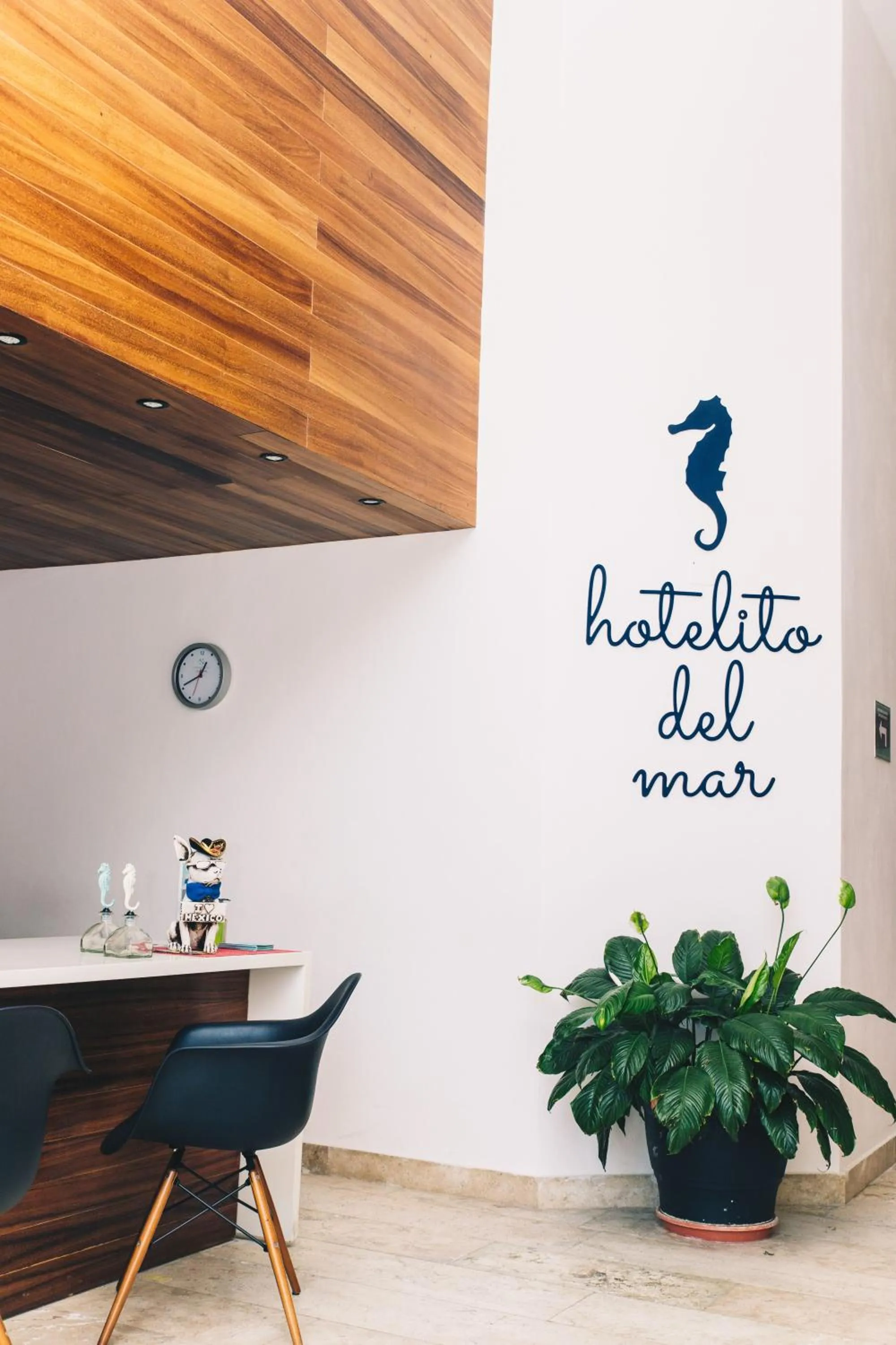 Text overlay in Hotelito del Mar Playa del Carmen