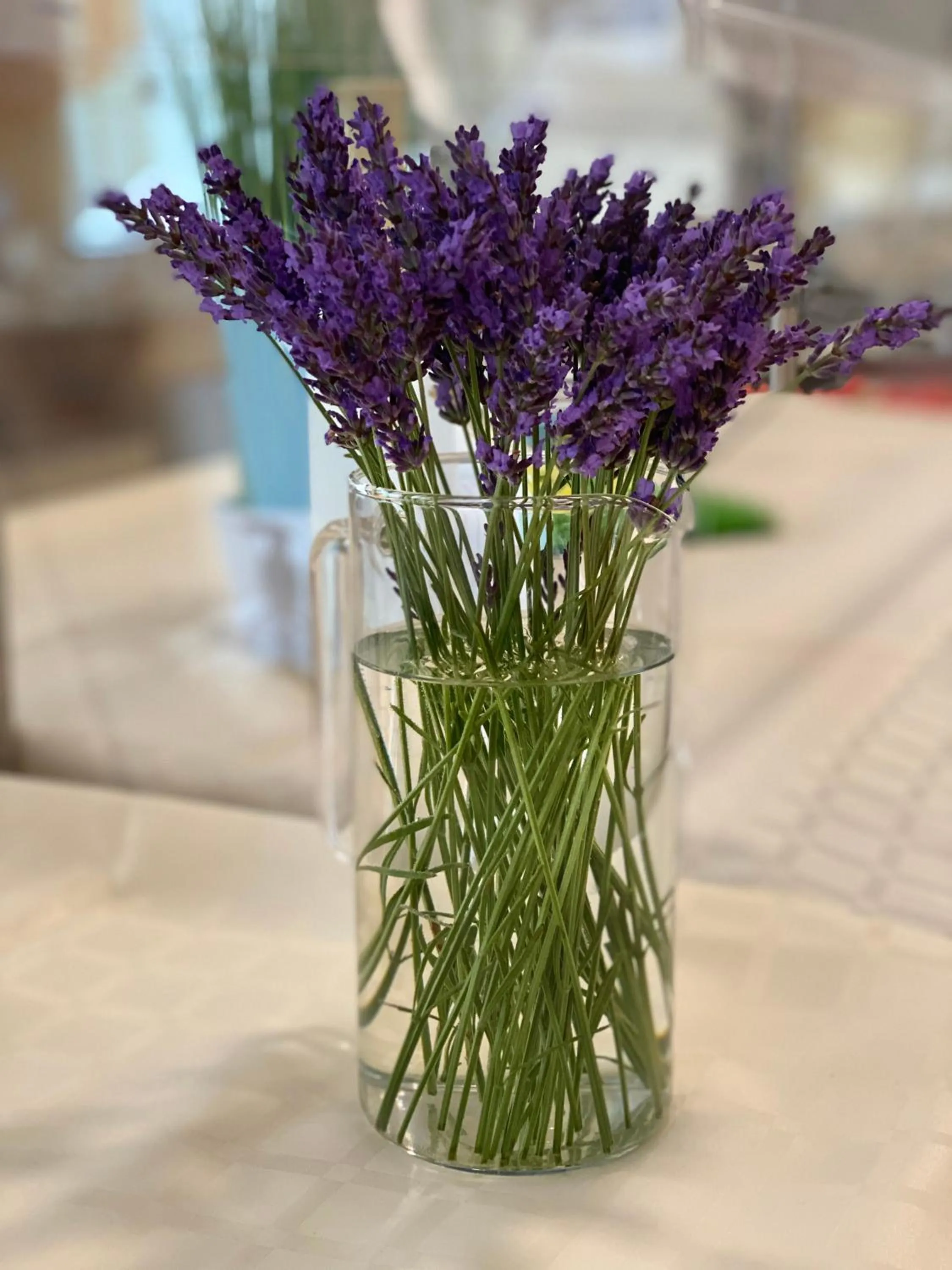 Food in Hotel Plamena Palace