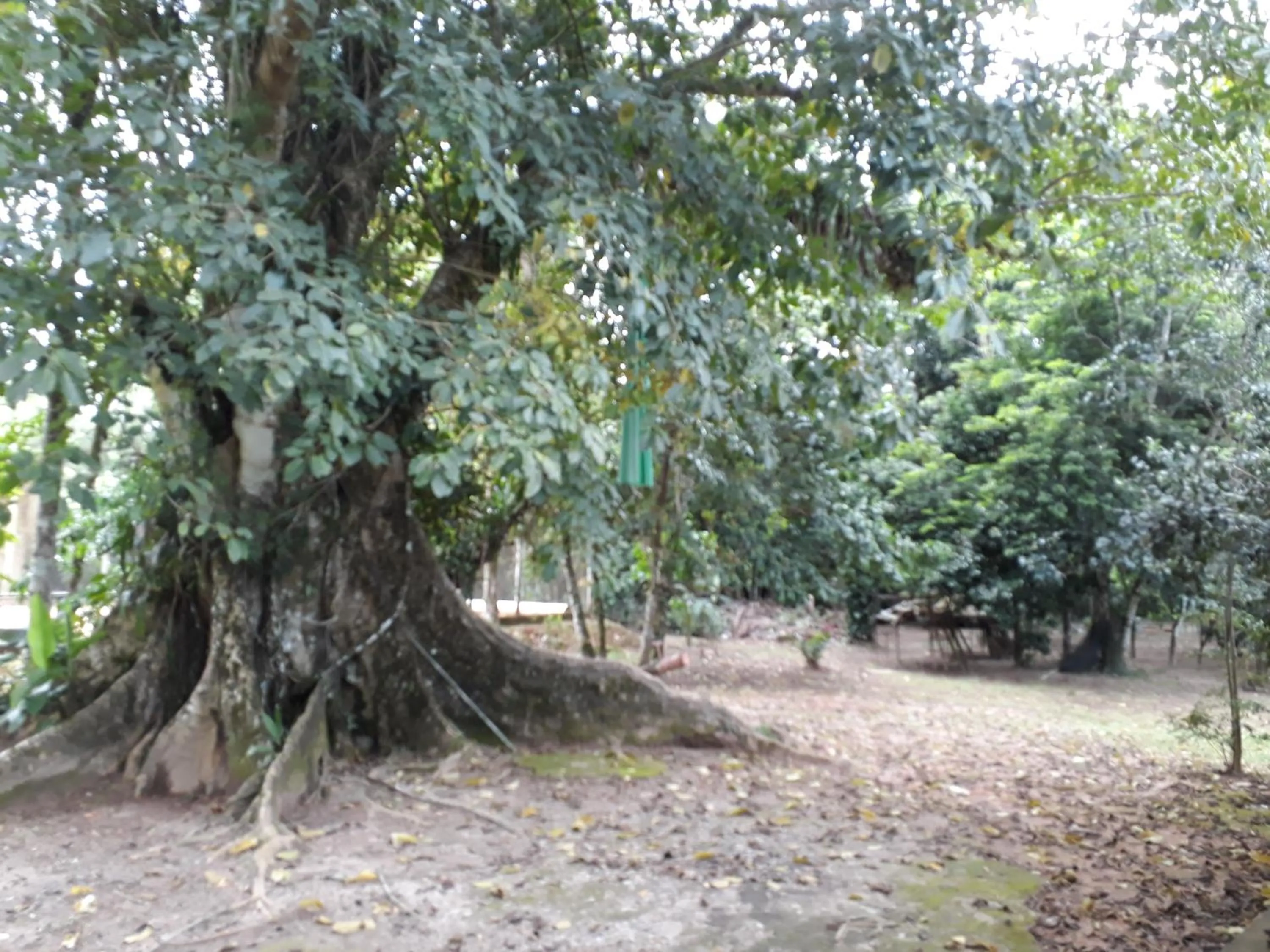 Natural landscape in Aconchego 3 dorms, piscina, churrasq em Condomínio Fechado
