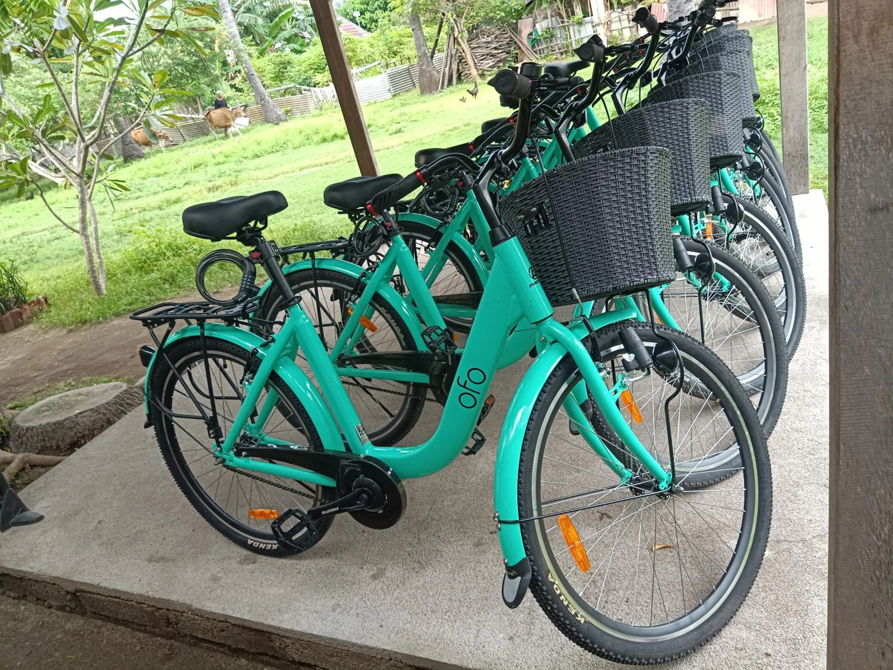 Cycling in Villa Kinagu