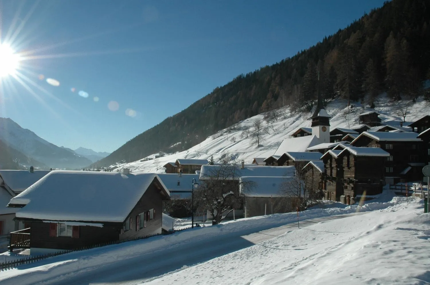 Natural landscape in Hotel-Restaurant Drei Tannen