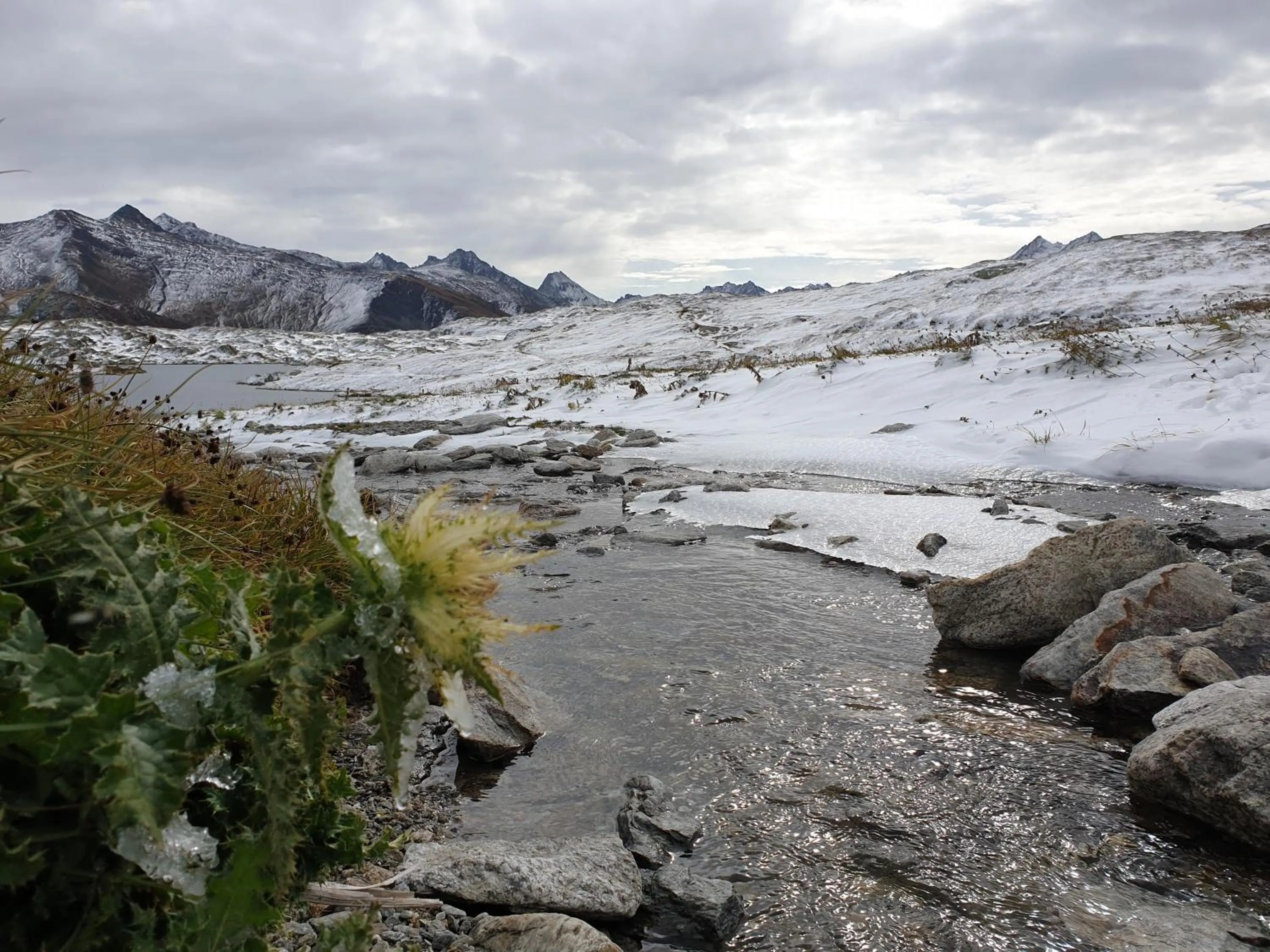 Natural landscape in Hotel Astoria