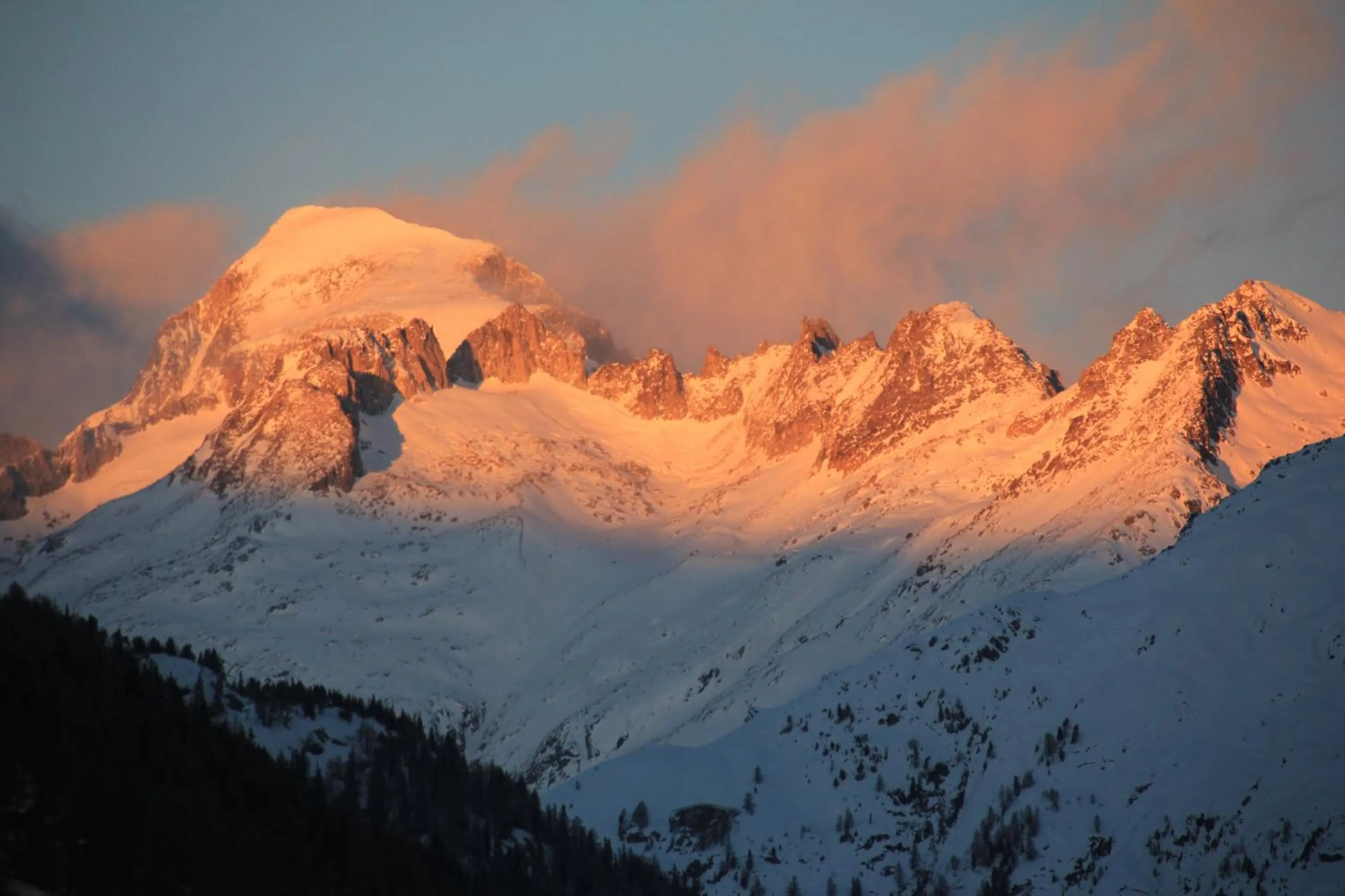 Natural landscape in Hotel Astoria