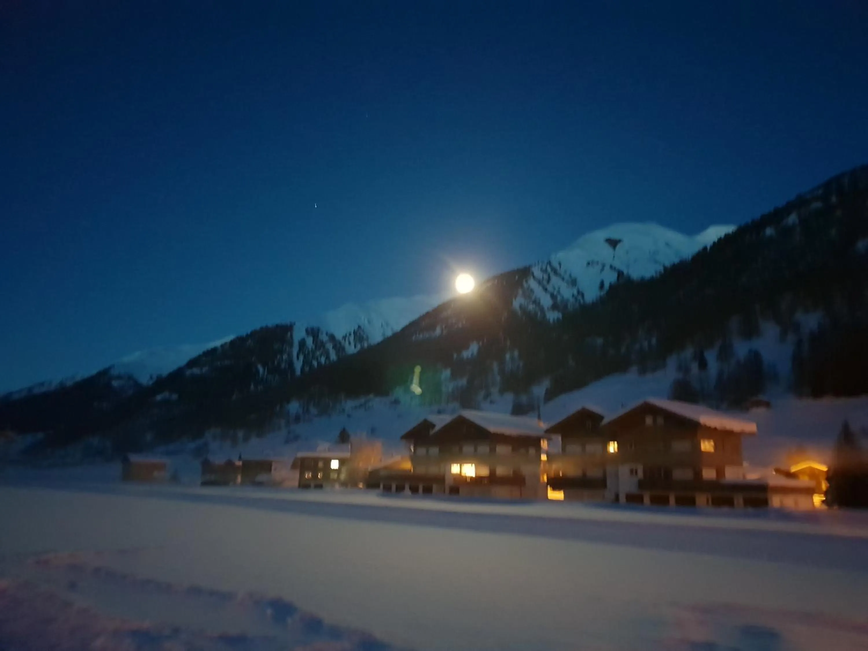 Natural landscape in Hotel Astoria