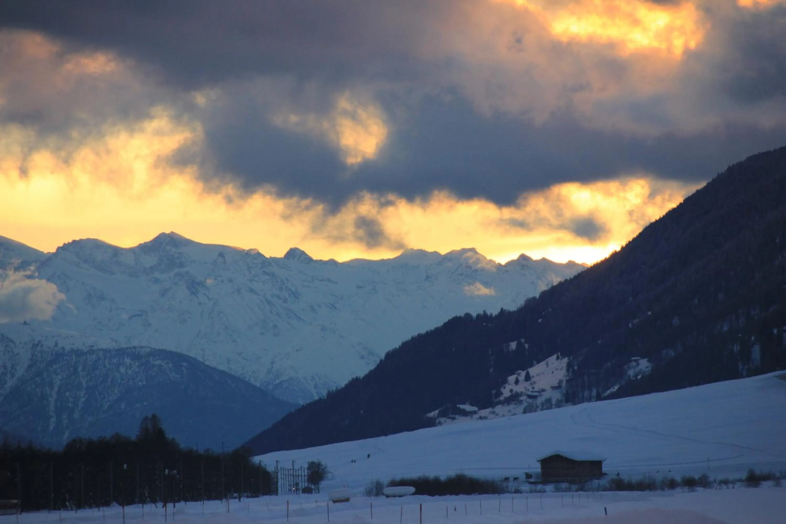Natural landscape in Hotel Astoria